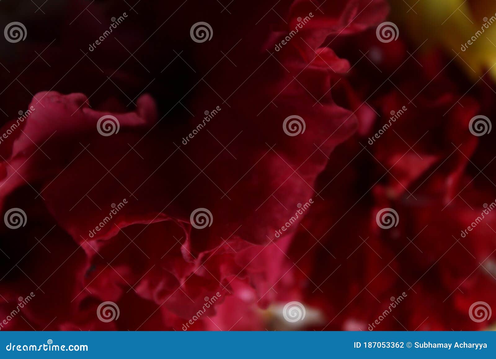 Abstract Red and Black Background Wallpaper. Beautiful Abstract Mixed  Colors Display Stock Photo - Image of artistic, display: 187053362