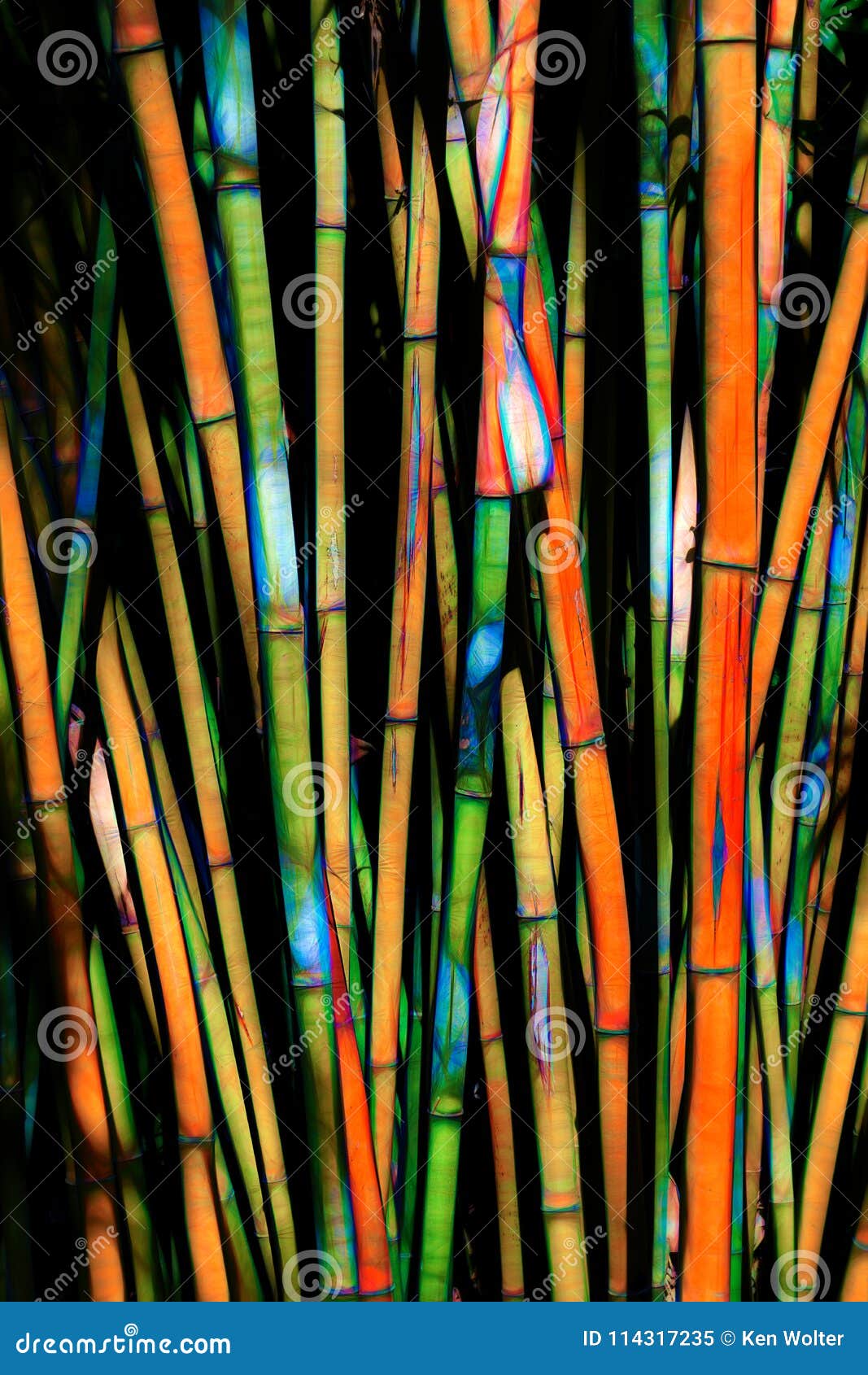 Abstract Rendition of Bamboo Forest. Bamboo forest abstract rendition close-up in multi-color