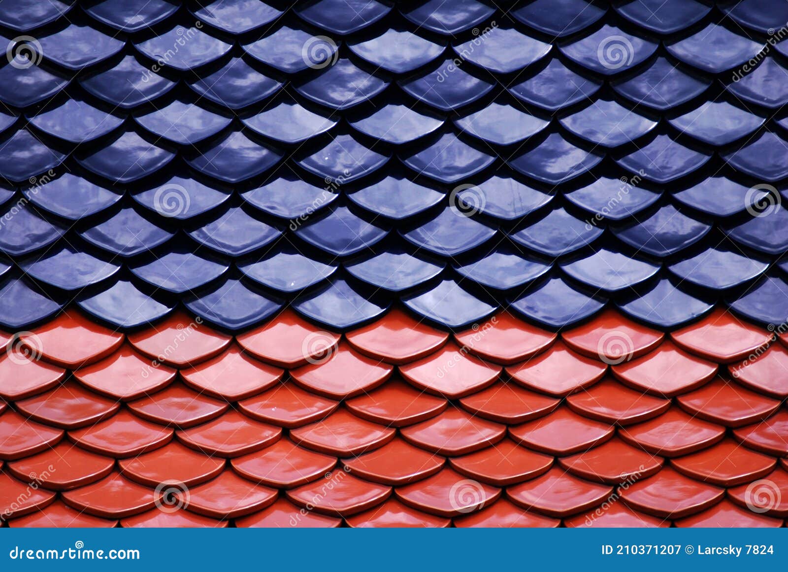 123 Metal Blue Fish Scales Stock Photos - Free & Royalty-Free