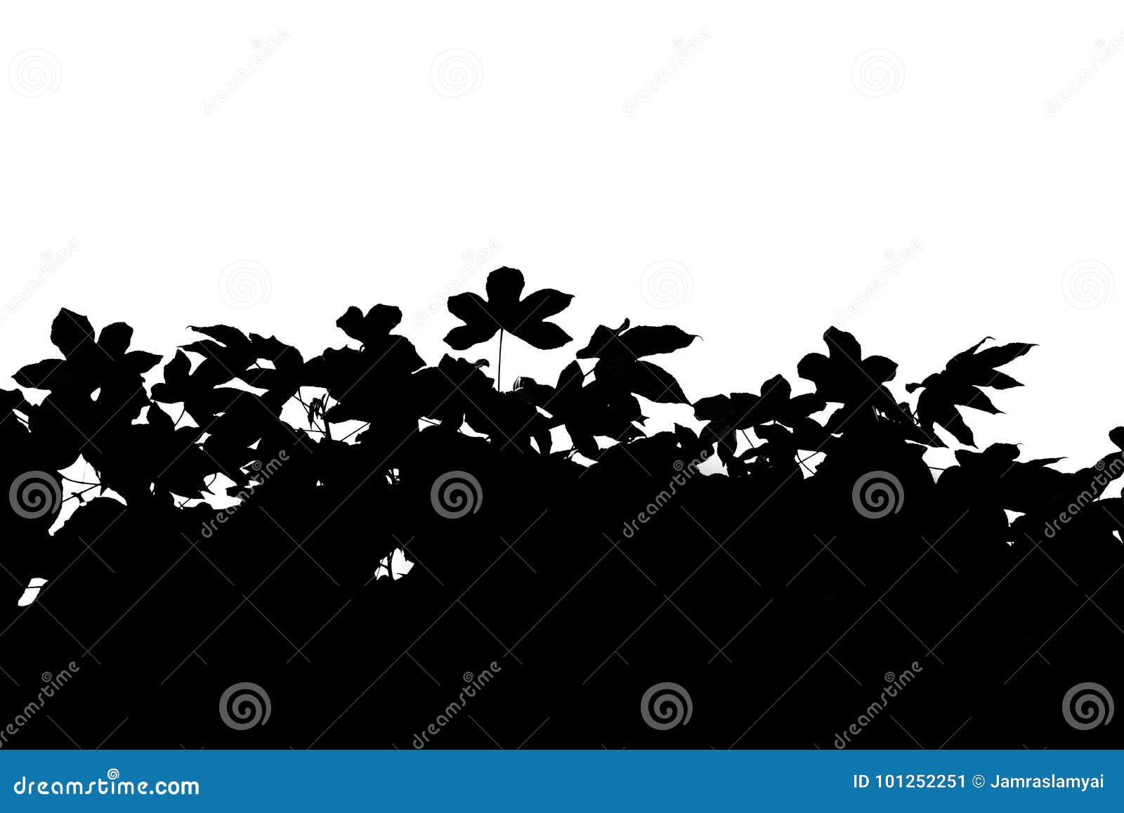 Abstract Silhouette Of Leaf Tree On White Background. White And Black