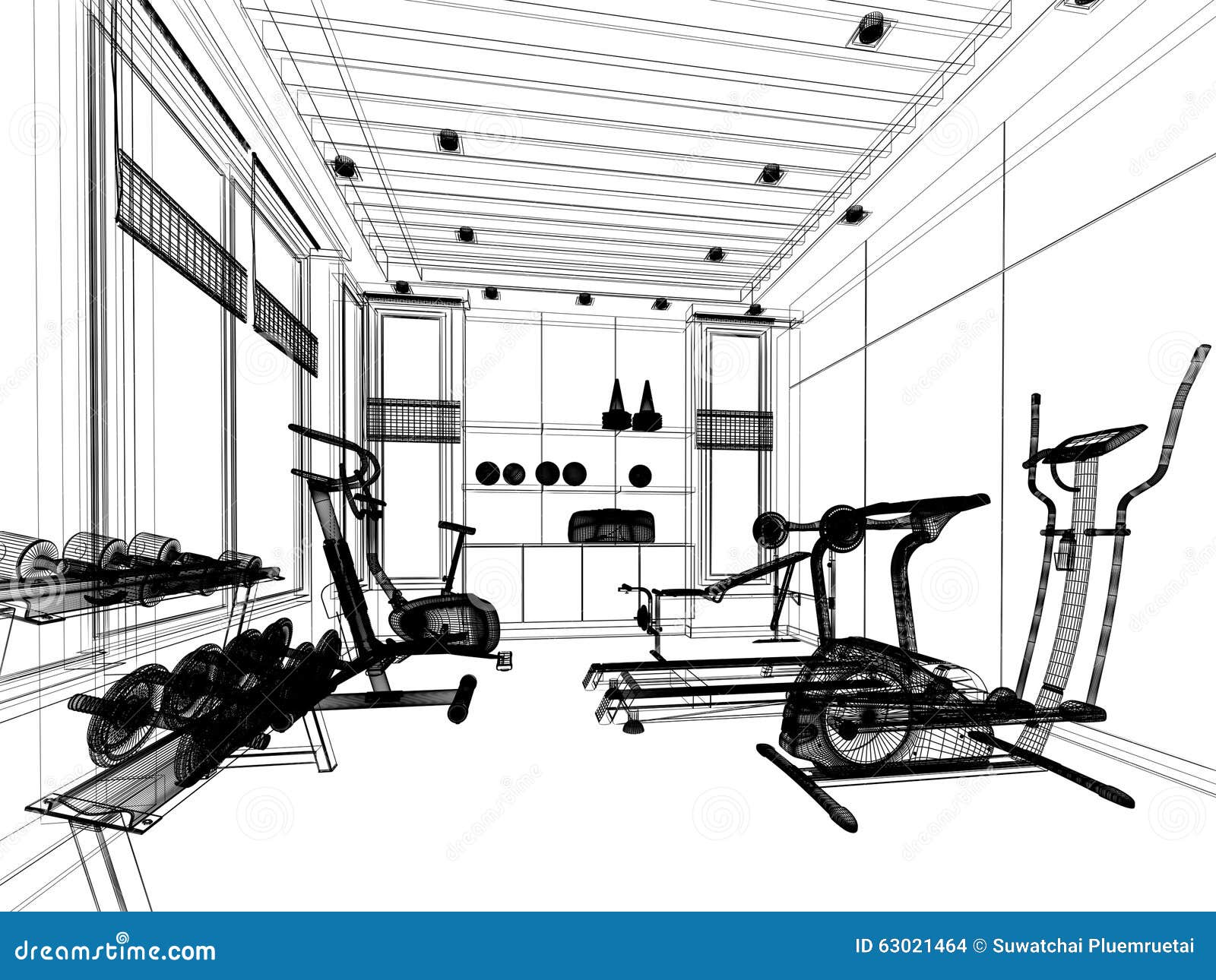 Sketch Of A Woman Working Out At The Gym With Dumbbell Weights Vector  Illustration RoyaltyFree Stock Image  Storyblocks