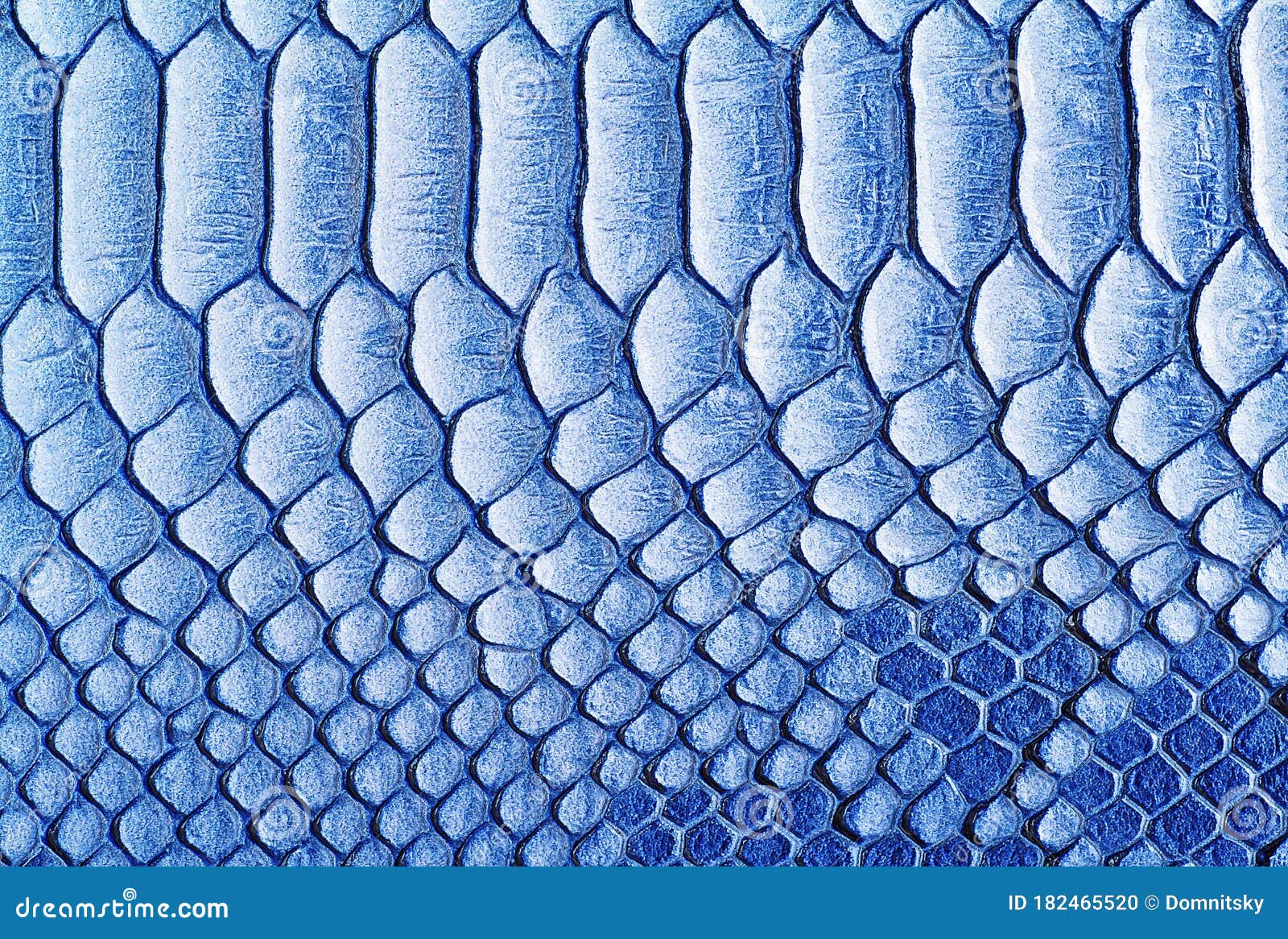 Abstract Skin Texture Use As Background. Blue Color Stock Photo - Image ...