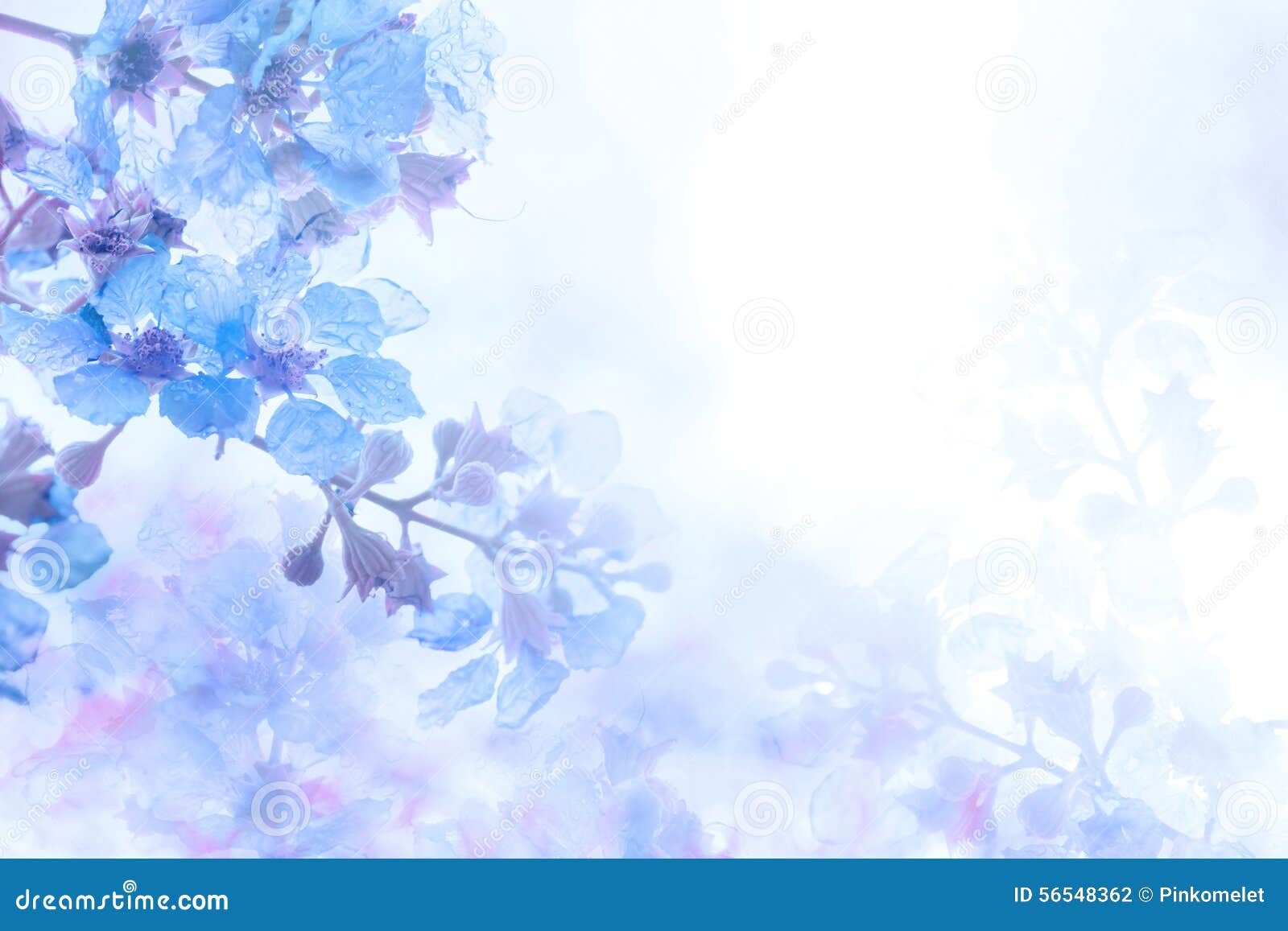 blue flowers background