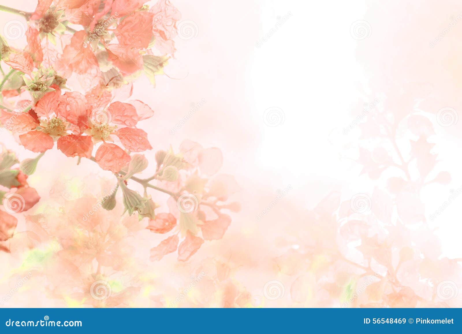 5,611,162 Flower Background Stock Photos - Free & Royalty-Free Stock Photos  from Dreamstime