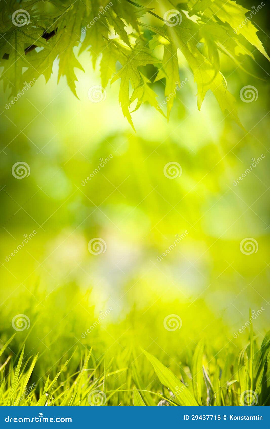 Abstract Spring Nature Green Background Stock Photo - Image of green