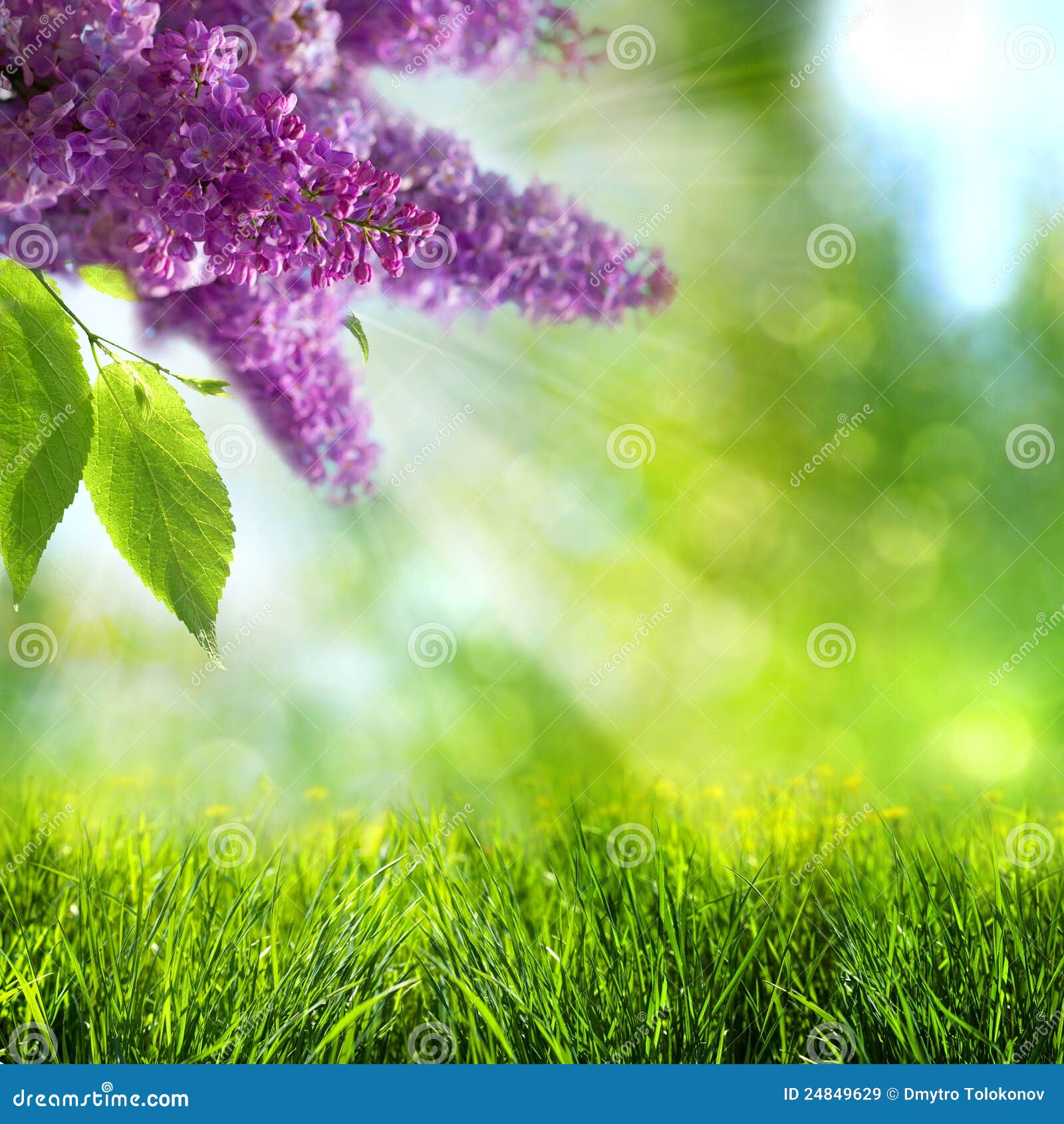 Abstract Summer and Spring Backgrounds Stock Image Image of green