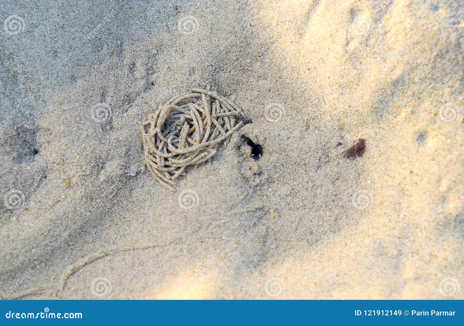 Strings of Sand Abstract Sandy Beach Underwater Texture Natural