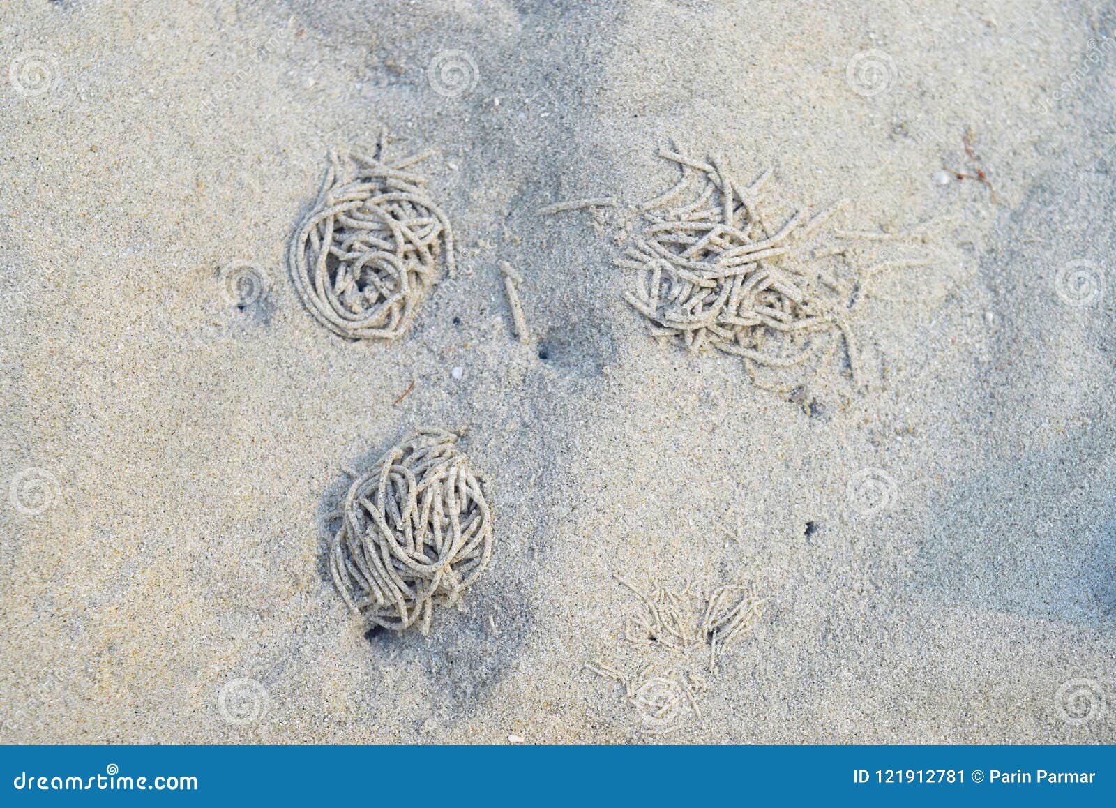 Strings of Sand Abstract Sandy Beach Underwater Texture Natural