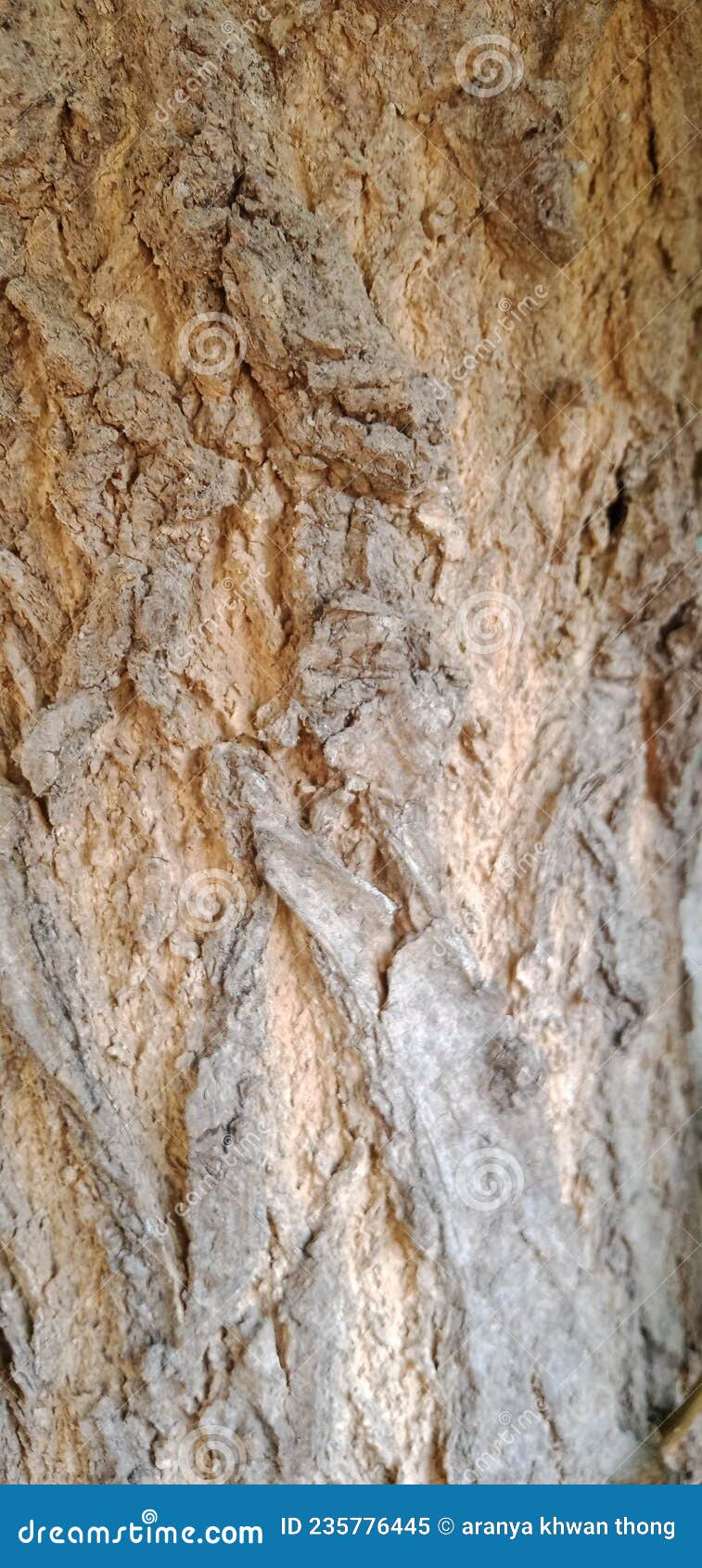 abstract texture of bark rough texture brown for backgroundabstract texture of bark rough texture brown for background
