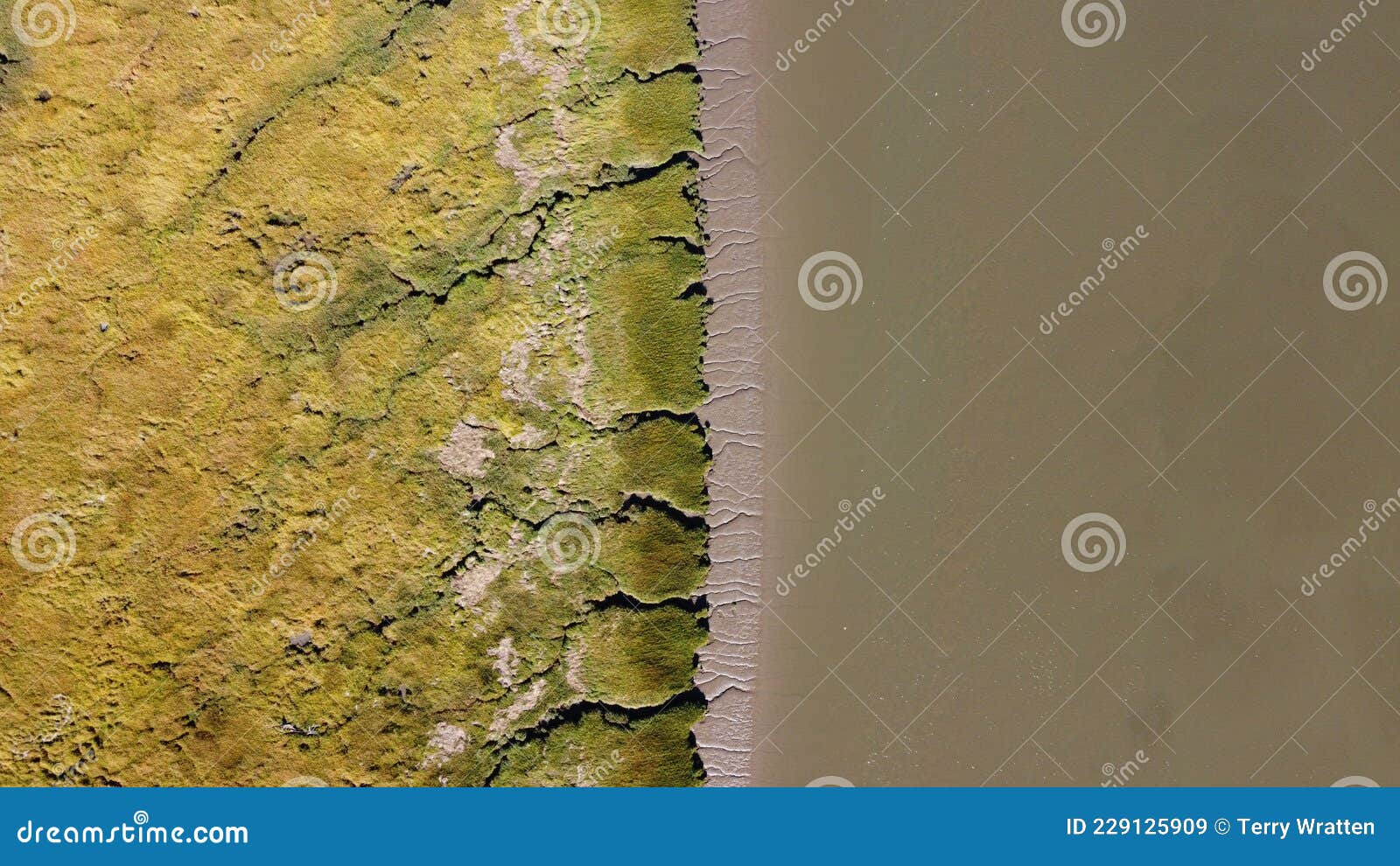 Textures and Veins Cutting Thru the Wetlands of a Tidal River System in 
