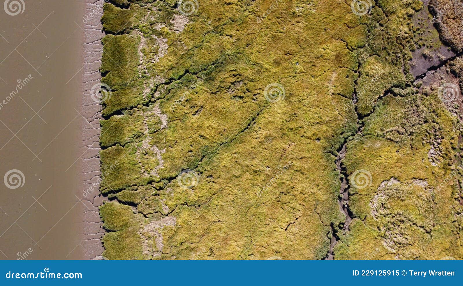 Textures and Veins Cutting Thru the Wetlands of a Tidal River System in 