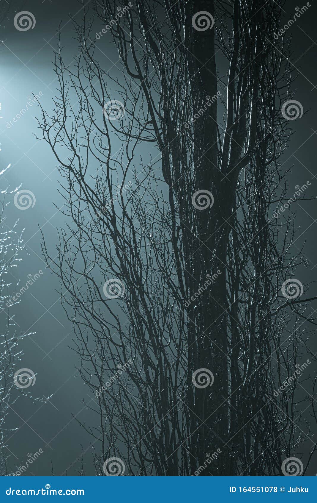 Tree Branches at Foggy Night Lit by Streetlamp Stock Photo - Image of