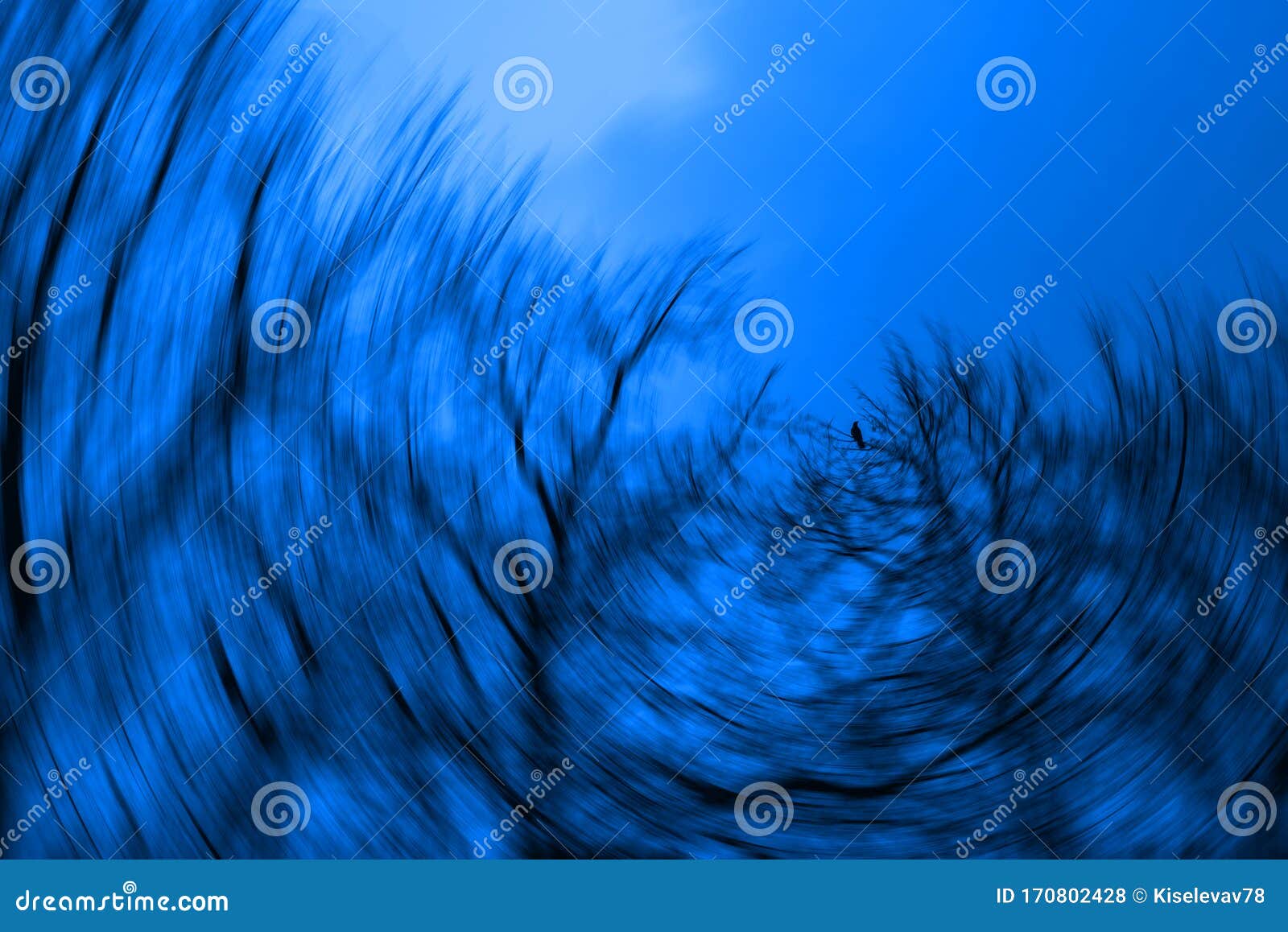 abstract tree silhouettes with radial blur. concept of a nightmare
