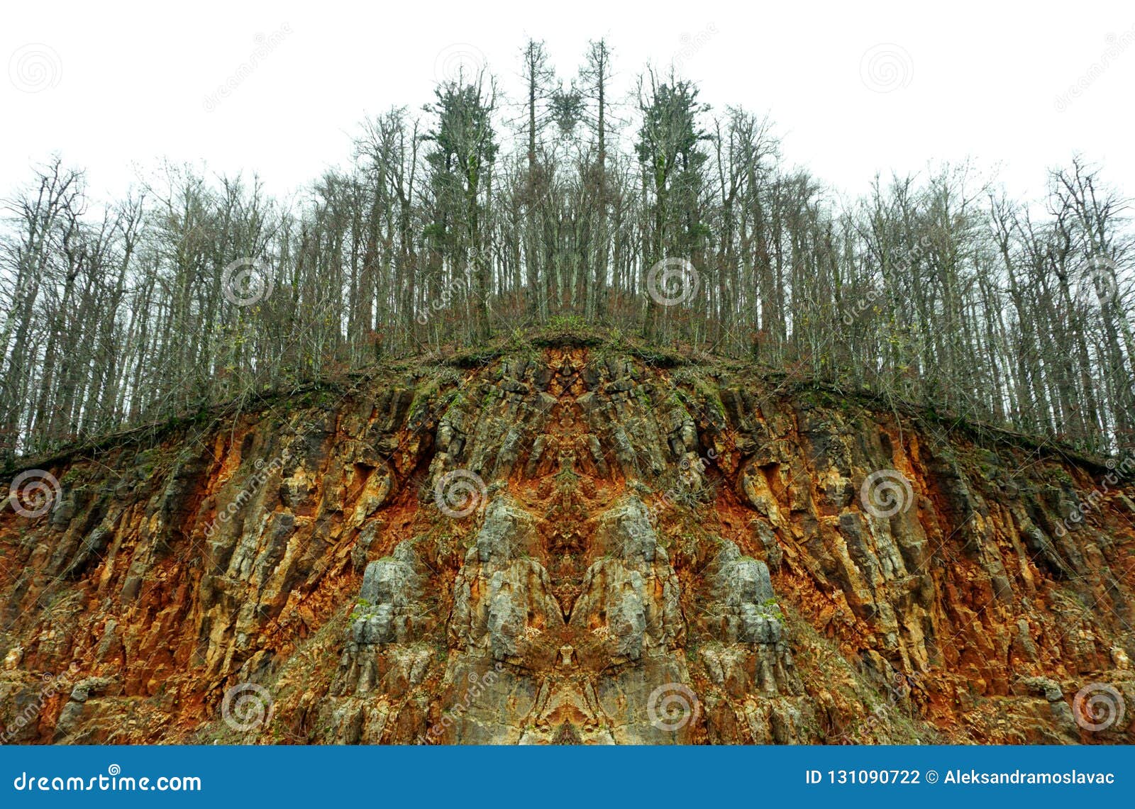 amme Kiks Pidgin Pollution of Nature and Consequence. Abstract View of Sick Tree in Diseased  Forest after Acid Rain Stock Photo - Image of disease, bark: 131090722