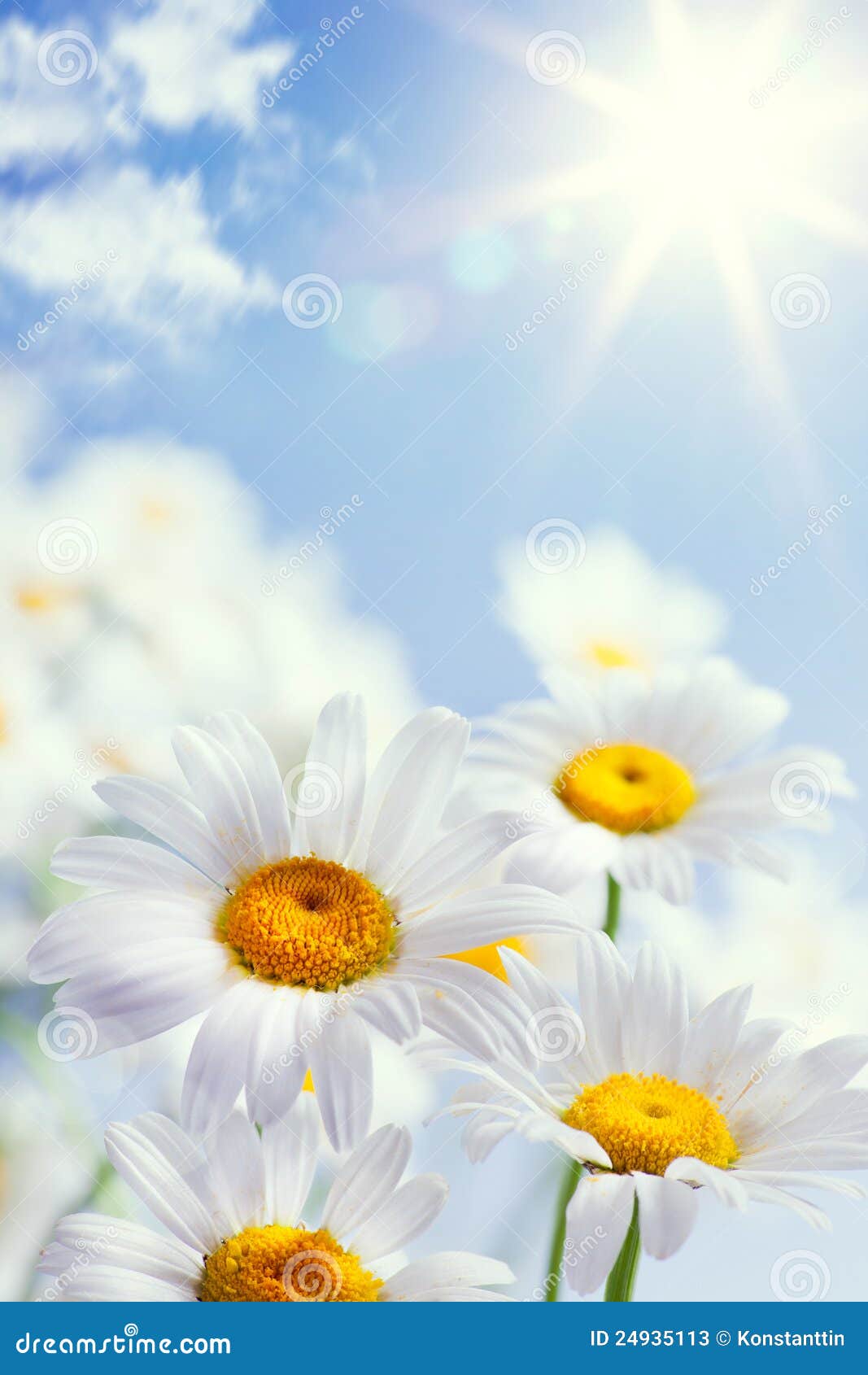 Abstract Vintage Floral Summer Background Stock Image Image of blue, flower 24935113