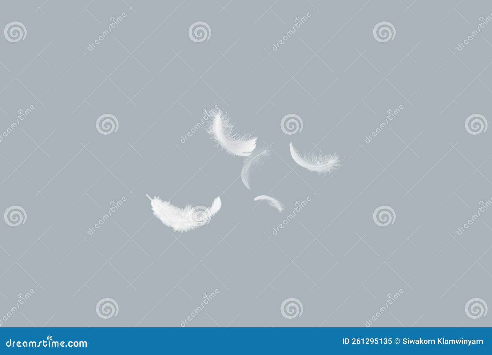 Abstract White Bird Feathers Flying in the Air. Feathers Floating in