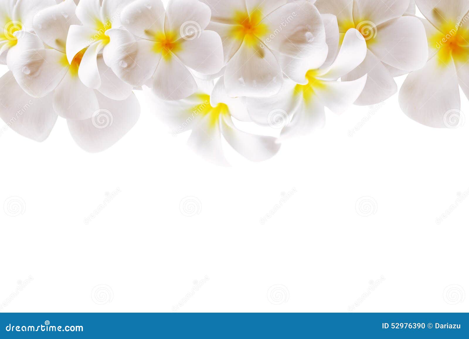 Abstract White Flower Background with Space Stock Photo - Image of fantasy,  concept: 52976390