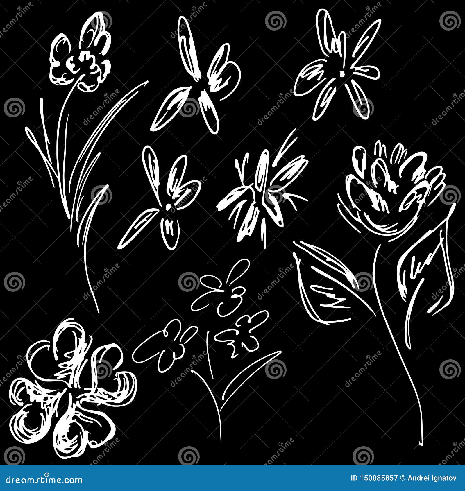 Abstract Wildflowers Outline Set Isolated On Black Background. Hand ...