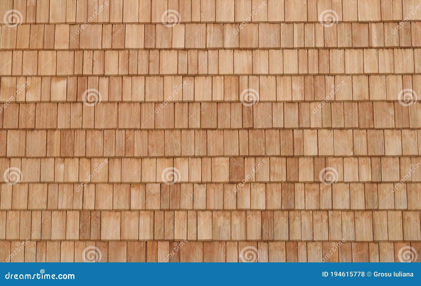 abstract wood texture close up. cedar shingles for background with white space