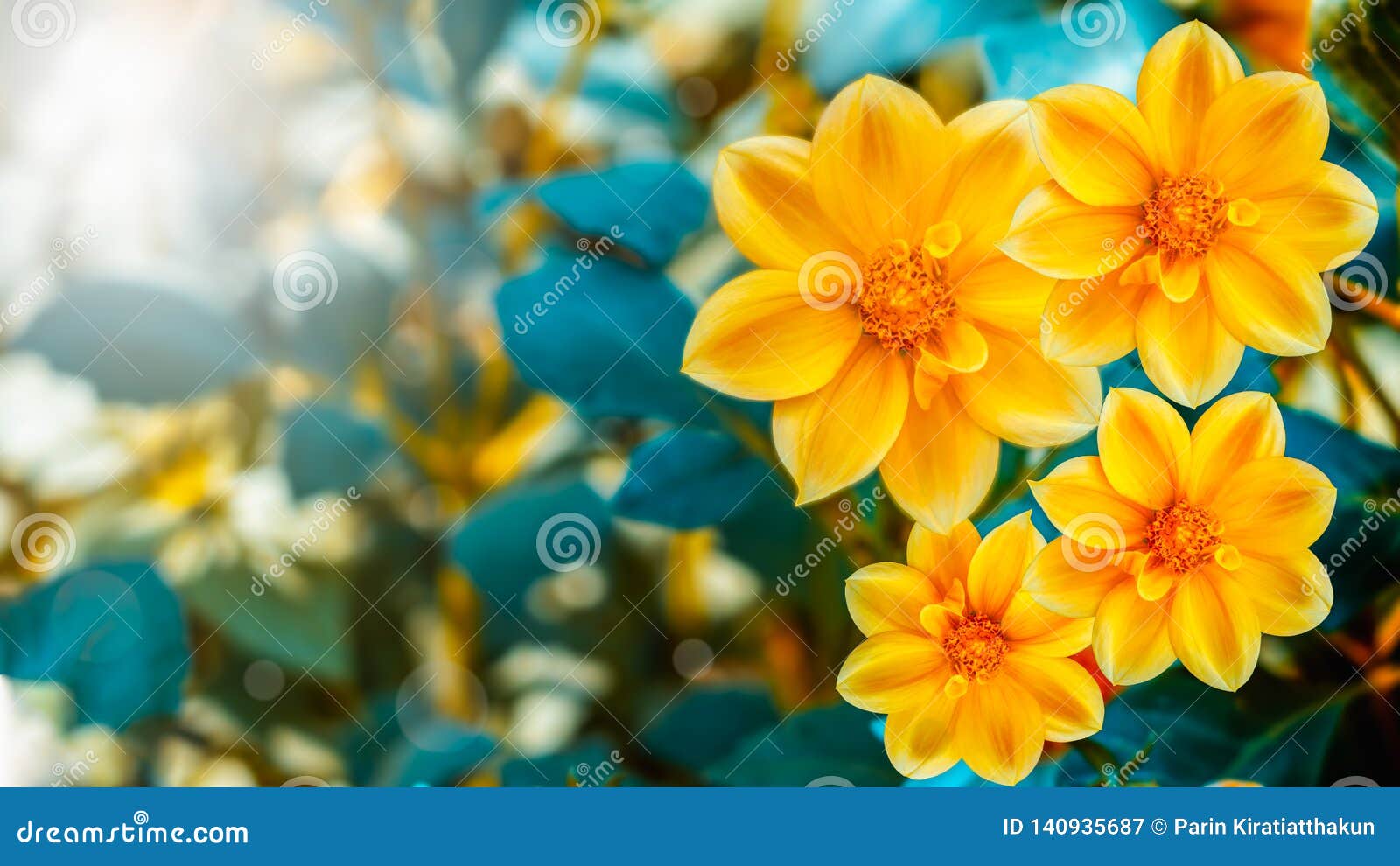 Abstract yellow flowers stock image. Image of bright 140935687