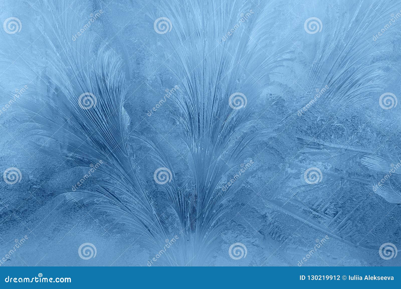 abstraction of frosty patterns on the window