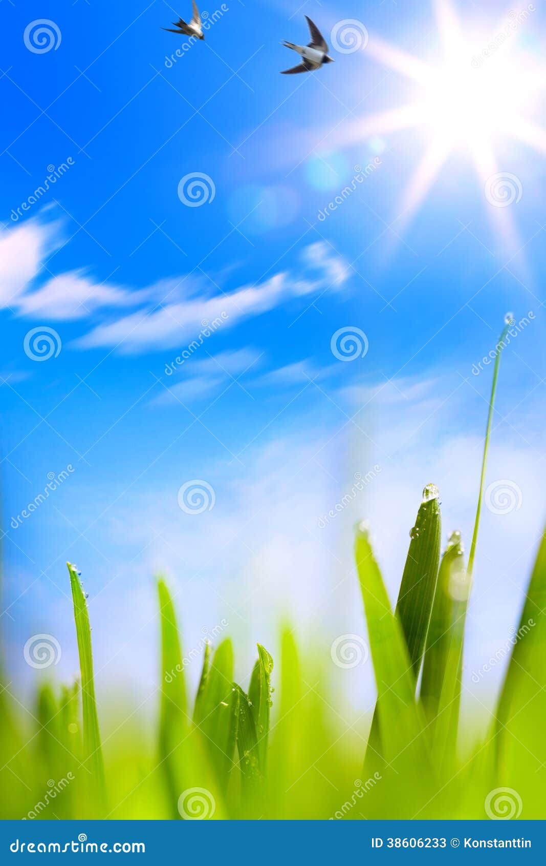 abstracts beautifu spring background
