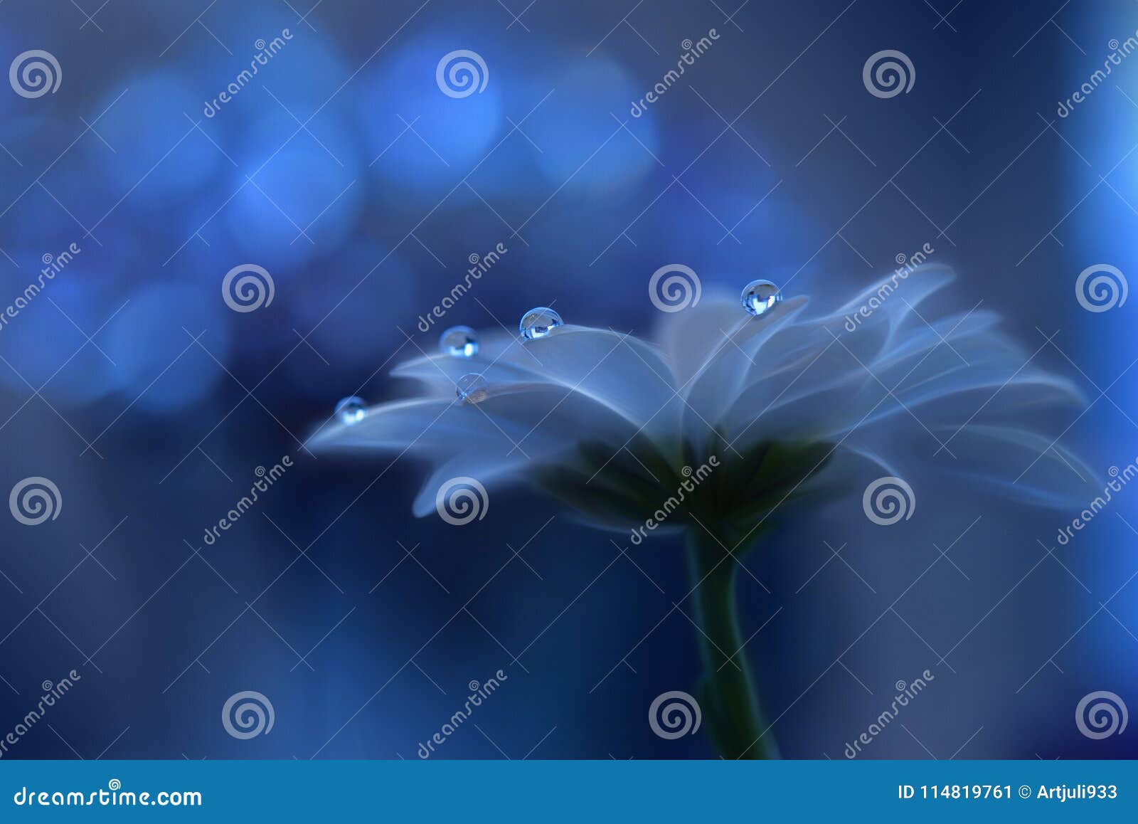 Abstraktes Makrofoto Mit Wassertropfen Kunstlerischer Hintergrund Fur Den Desktop Magische Kunstlerische Blaue Tapete Blumen Mit Stockbild Bild Von Desktop Blaue