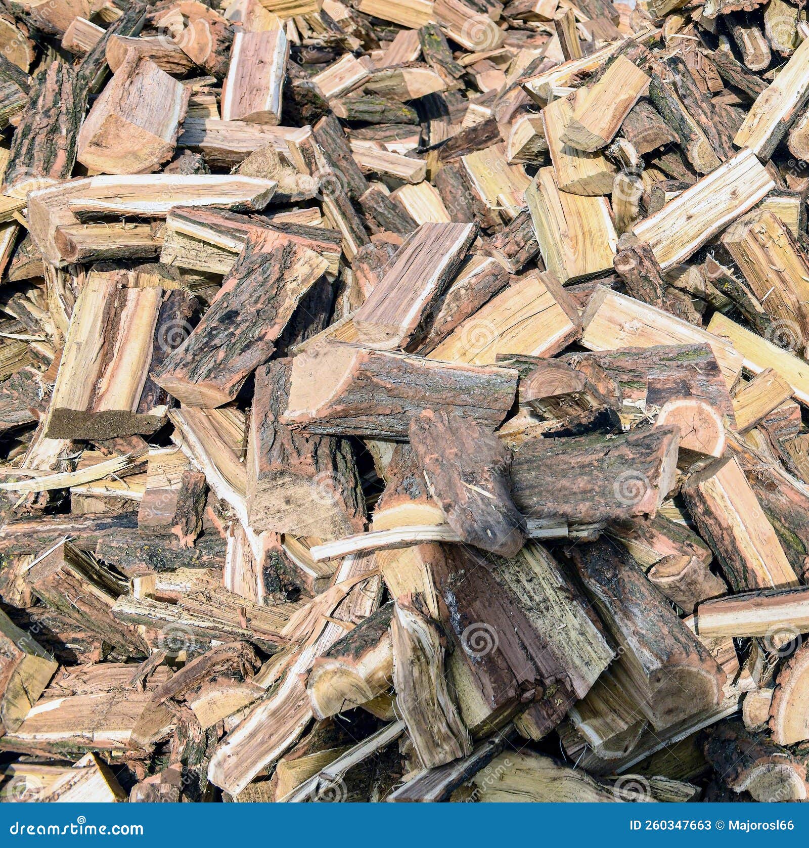 Acacia Firewood for Heating in the Winter Stock Image Image of wood
