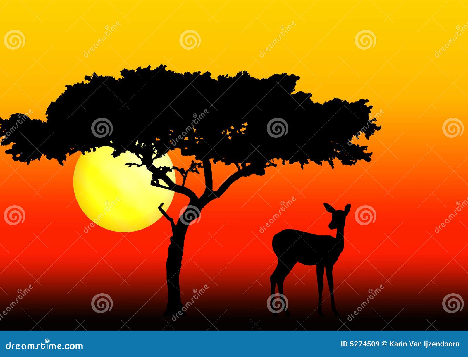 acacia and impala in sunset