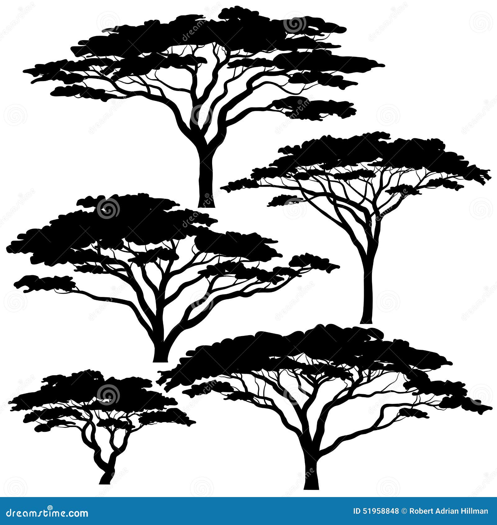 acacia tree silhouettes