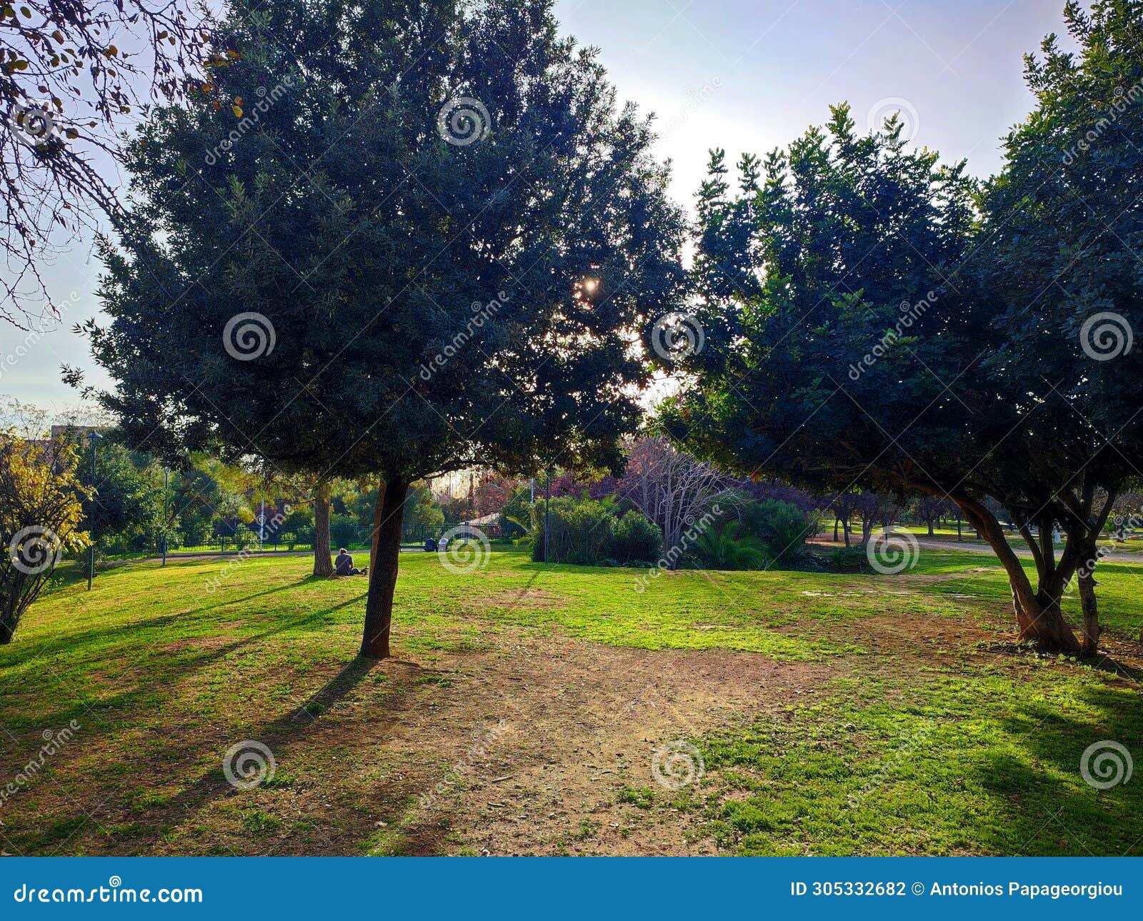 photo of plato's academy park, a historic public park located in akadamia platonos in athens, greece.