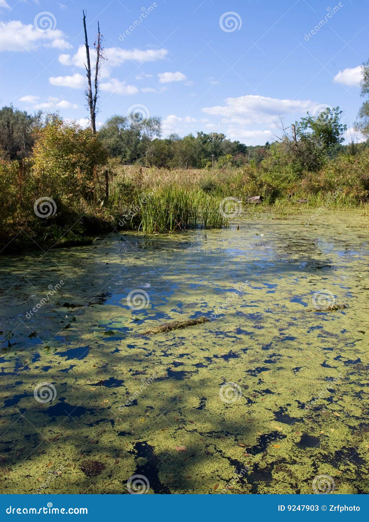 Acadia National Park Water stock image. Image of northeast 9247903