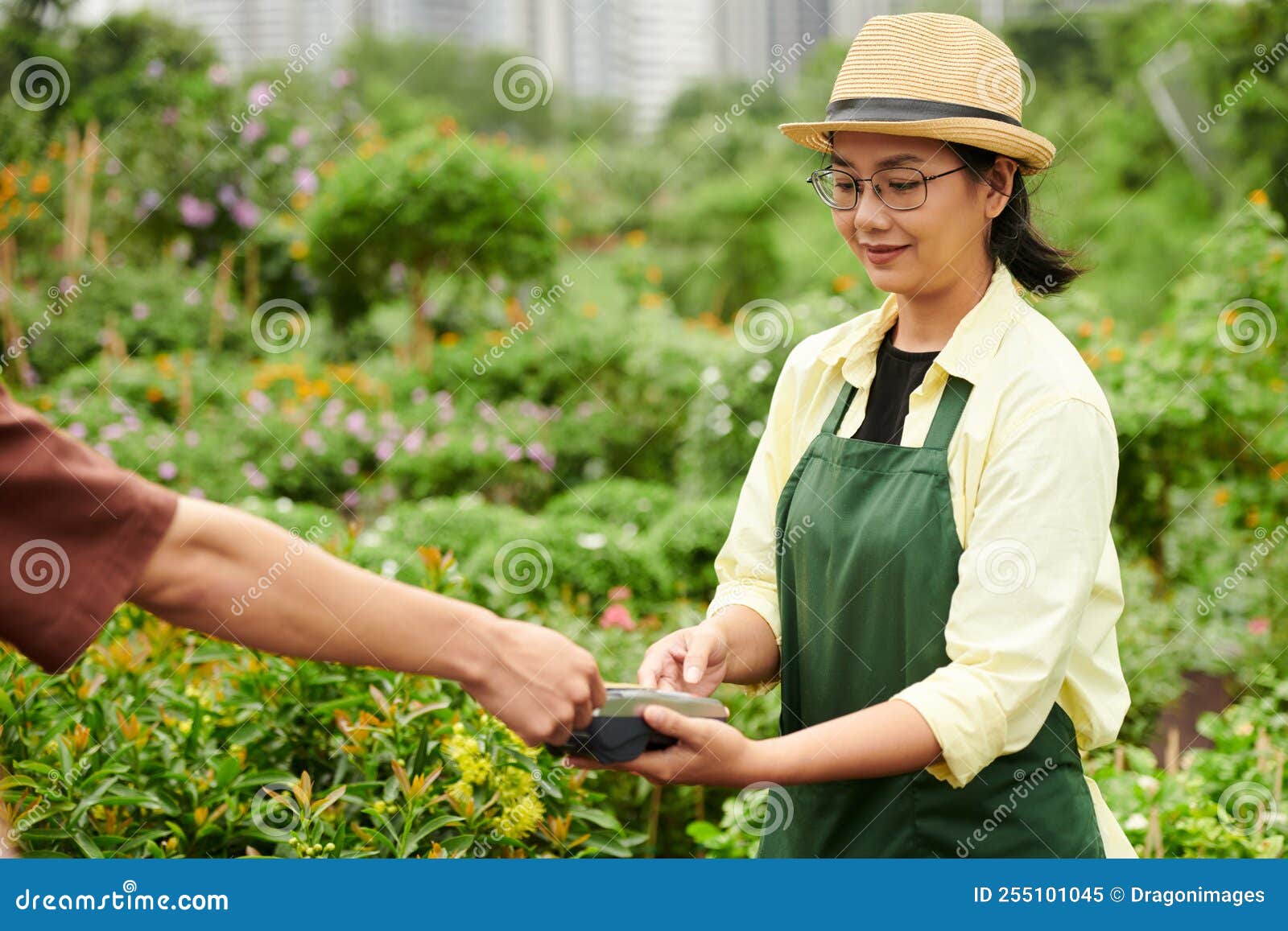 Accepting Payment for Plants Stock Image Image of payment, summer 255101045