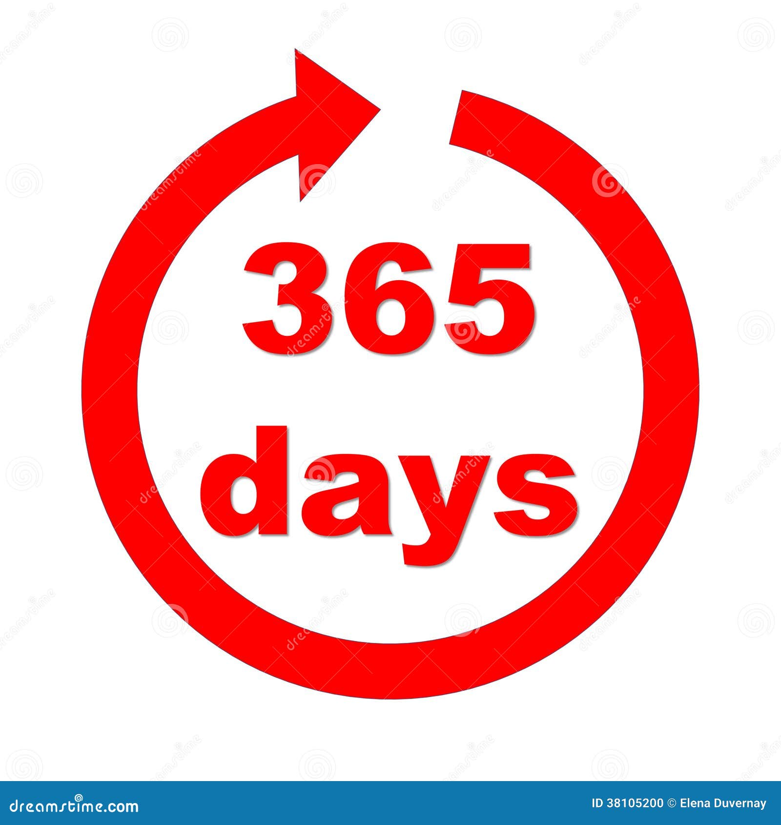 365 дней и 6 часов. 365 Дней иконка. 365 Дней в году иллюстрация. 365 Кругов. 365 Дней в году вектор.