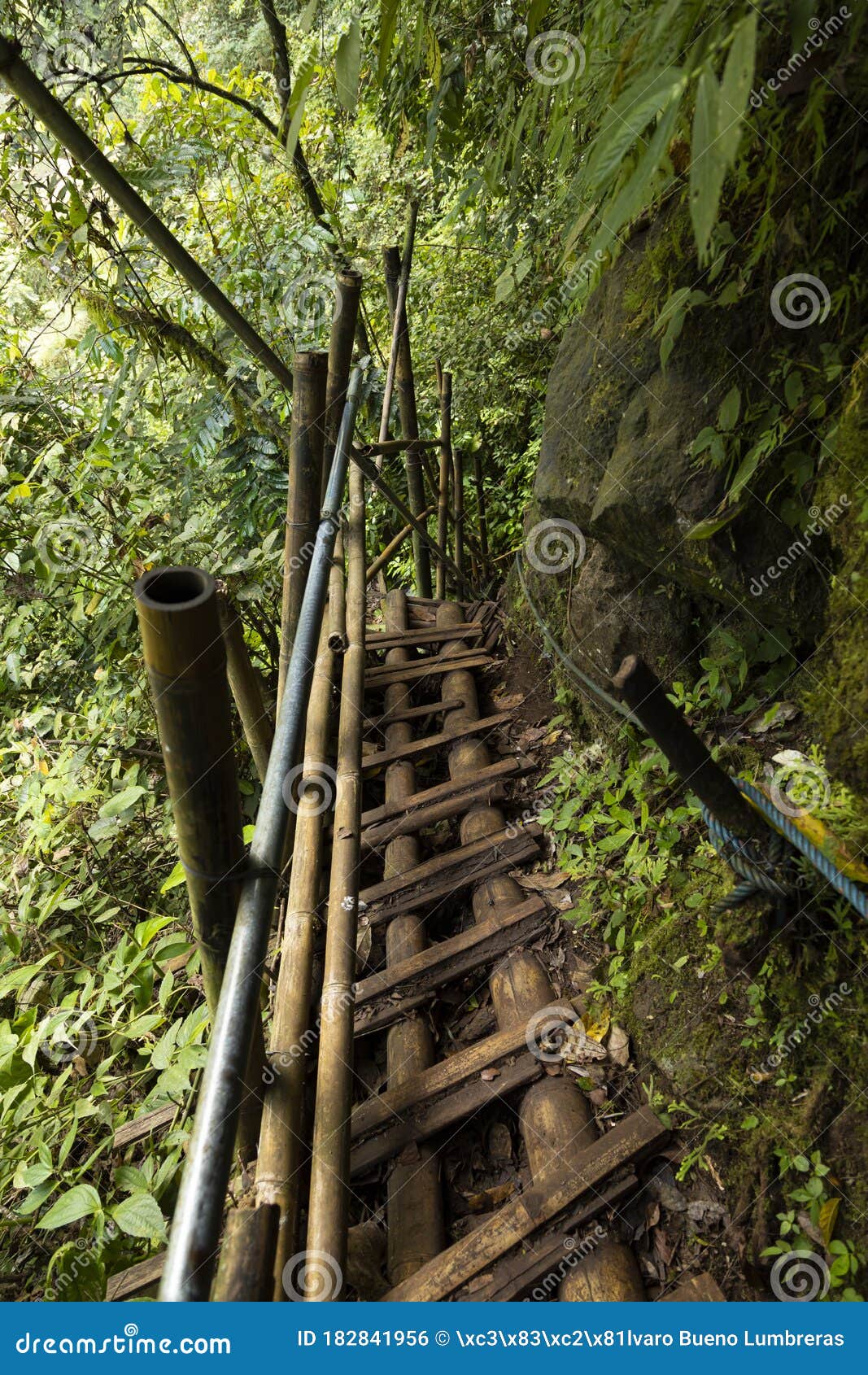 access trail sewu waterfall, indonesia