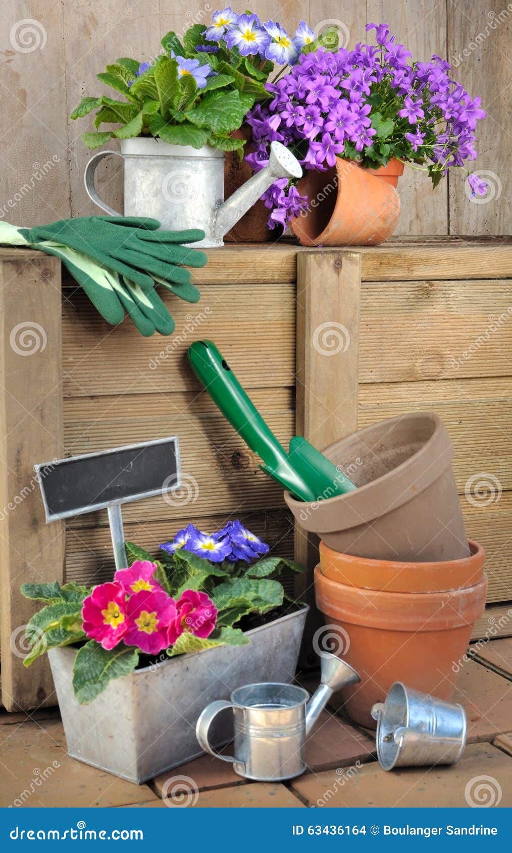 Accessories Gardening and Flowers Stock Photo Image of primrose, cans