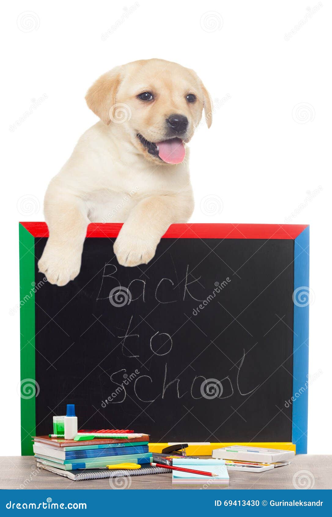 Accessories from school stock photo. Image of pencil - 69413430