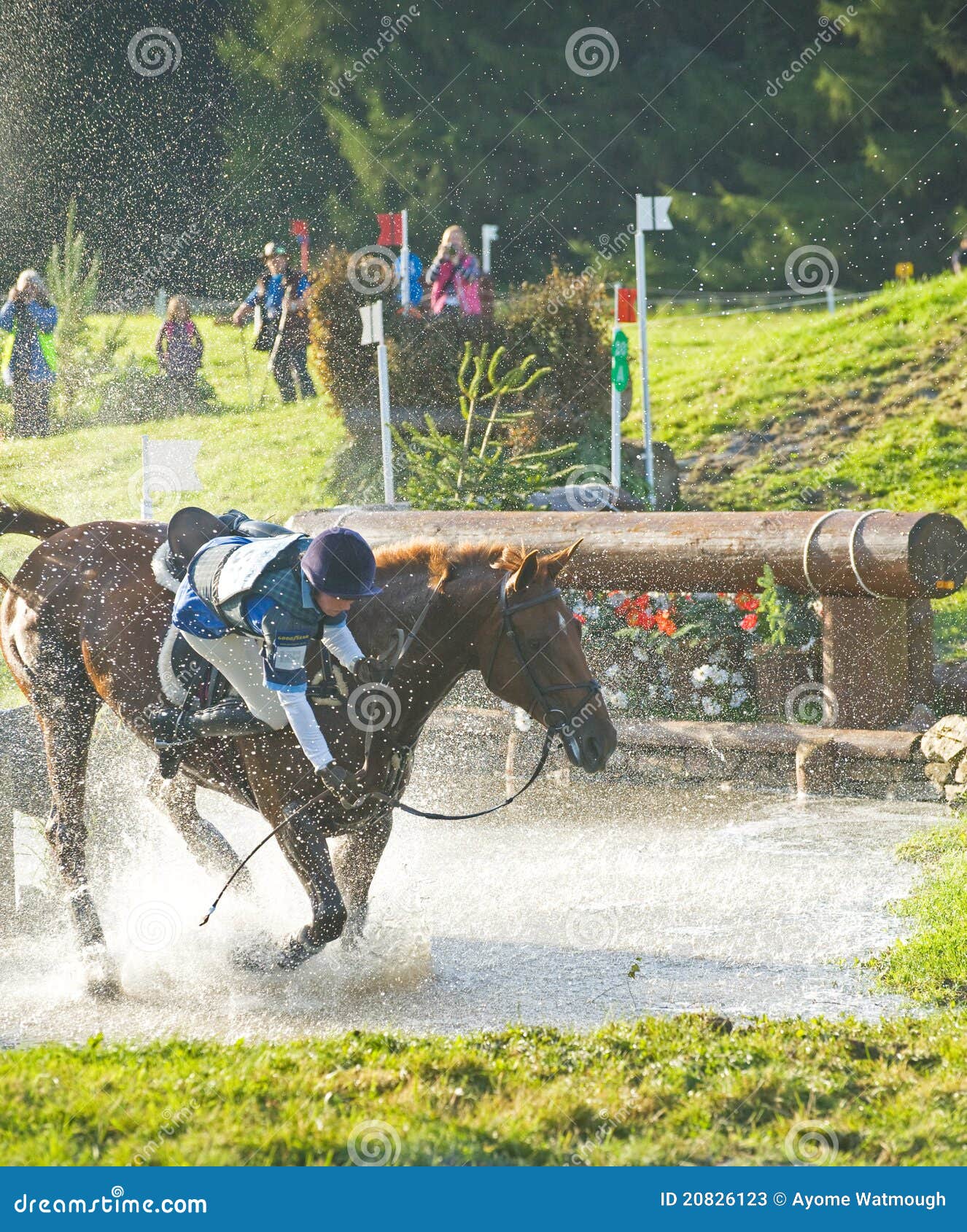 Accident At The Water Jump. Editorial Stock Photo Image 20826123