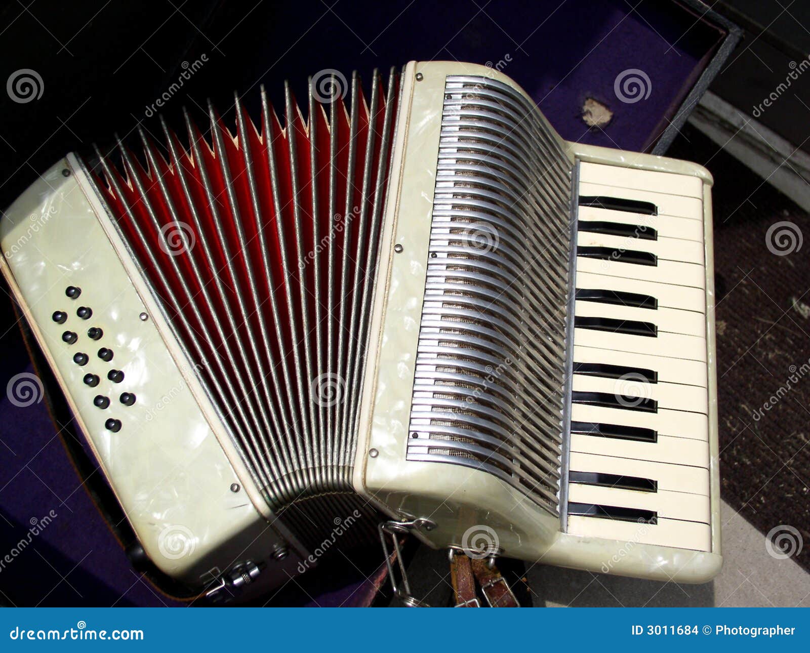 Accordion stock photo. Image of accordion, folk, bellows 3011684