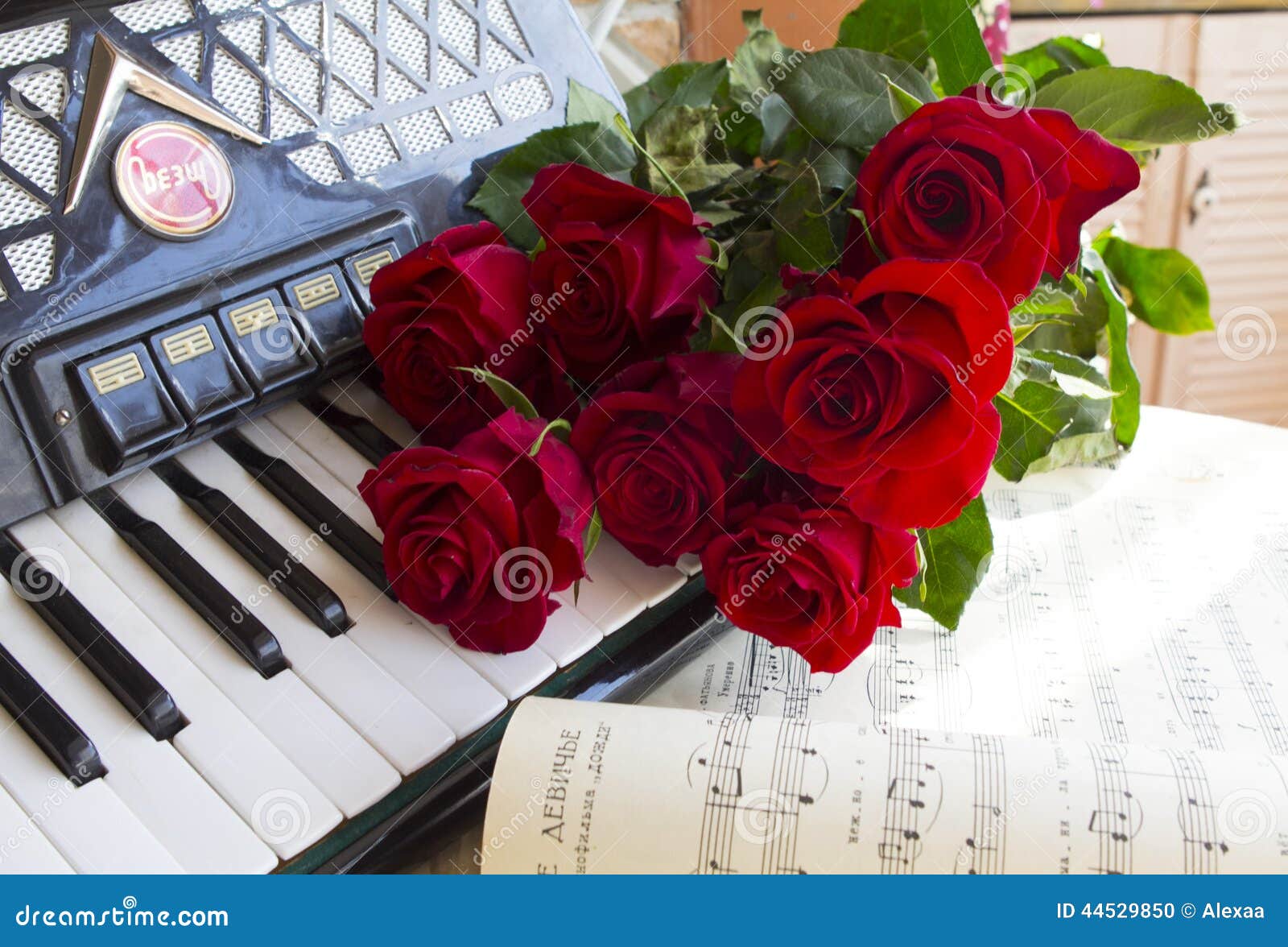 Accordion and red roses stock photo. Image of tuning 44529850
