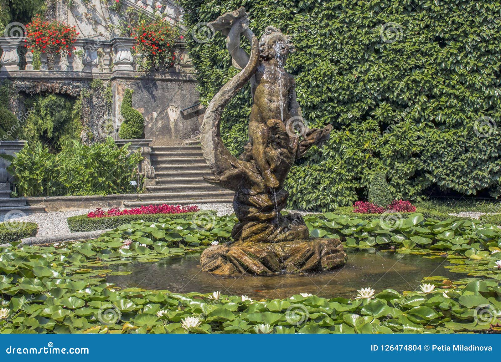 Accumulez avec des nénuphars et une fontaine entre les arbustes et les fleurs décoratifs. Les jardins de la villa Carlotta dans Tremezzo sur le lac Como, Italie du nord n