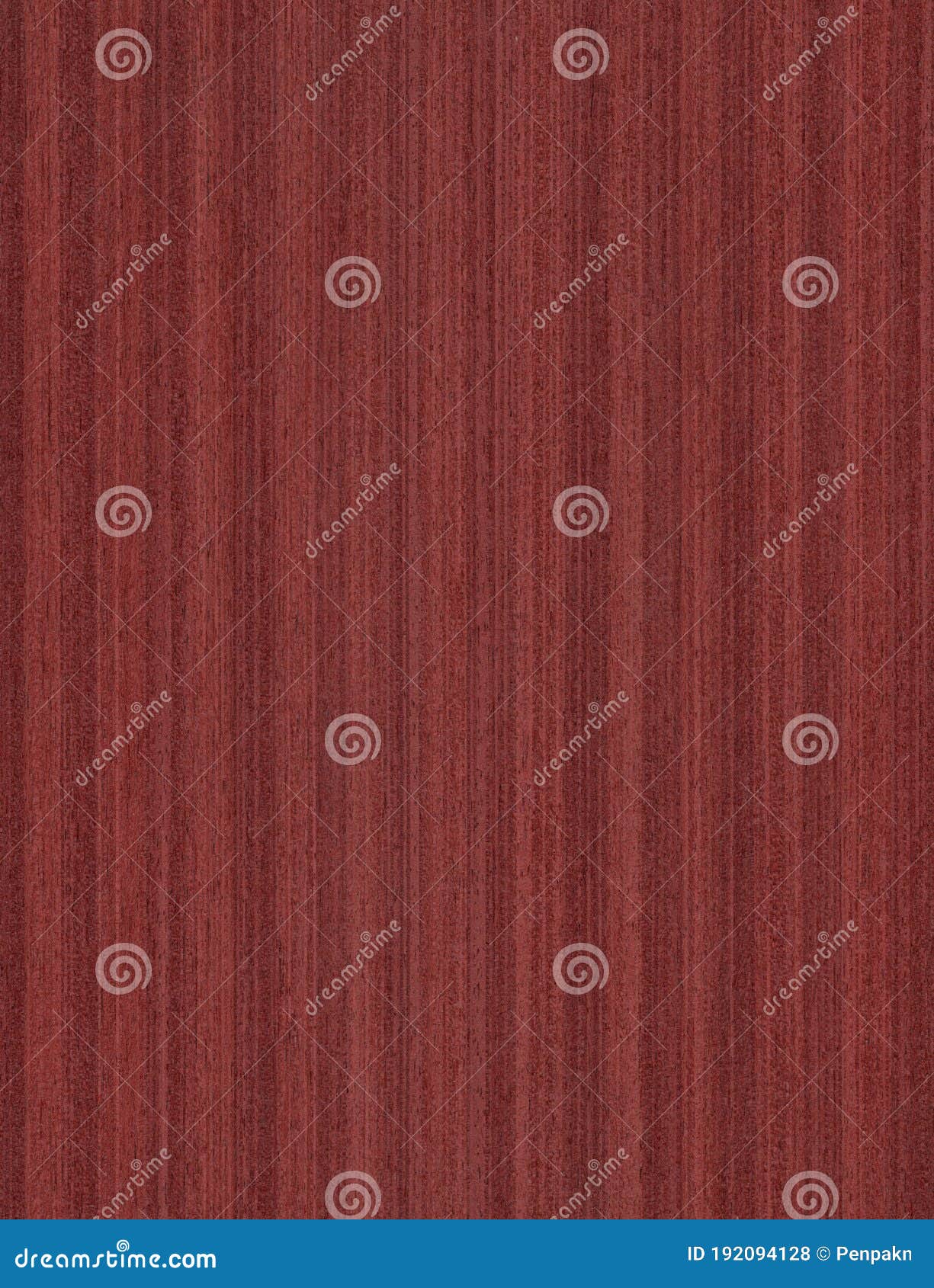 acero mapletop view wooden wall material burr surface texture background pattern dark red brown color build construction architect