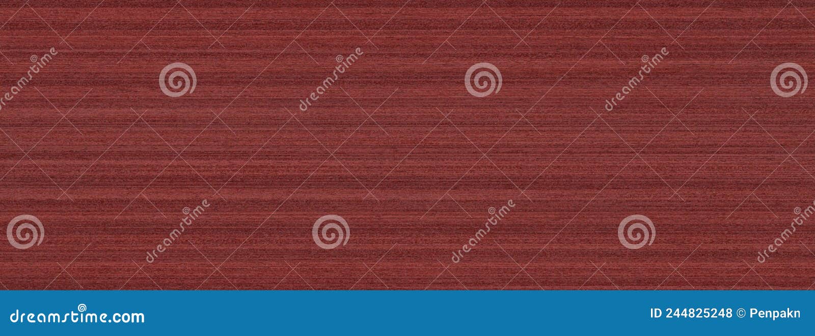 acero mapletop view wooden wall material burr surface texture background pattern dark red brown color build construction architect