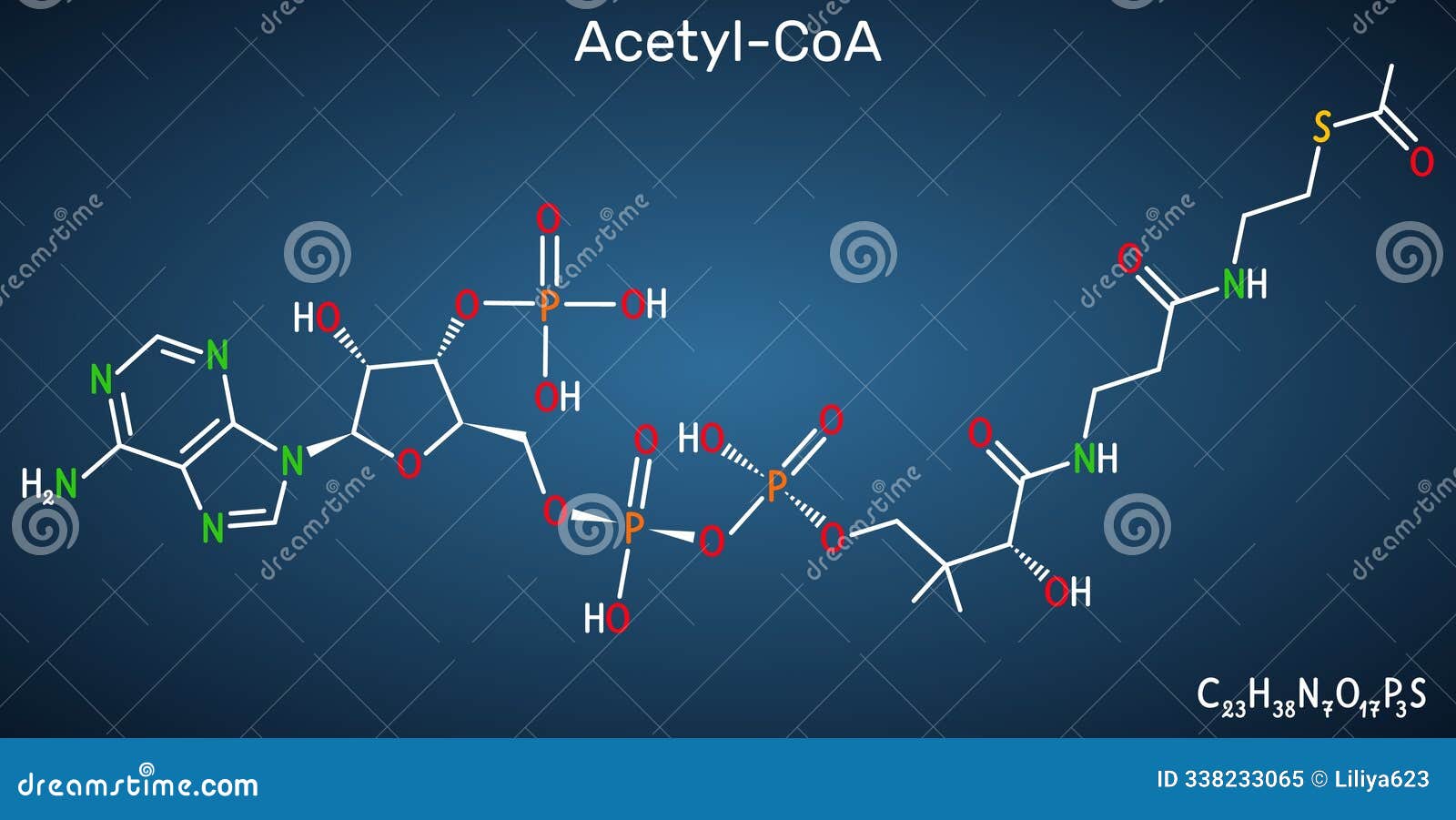acetyl-coa, acetyl coenzyme a molecule. dark blue background. 