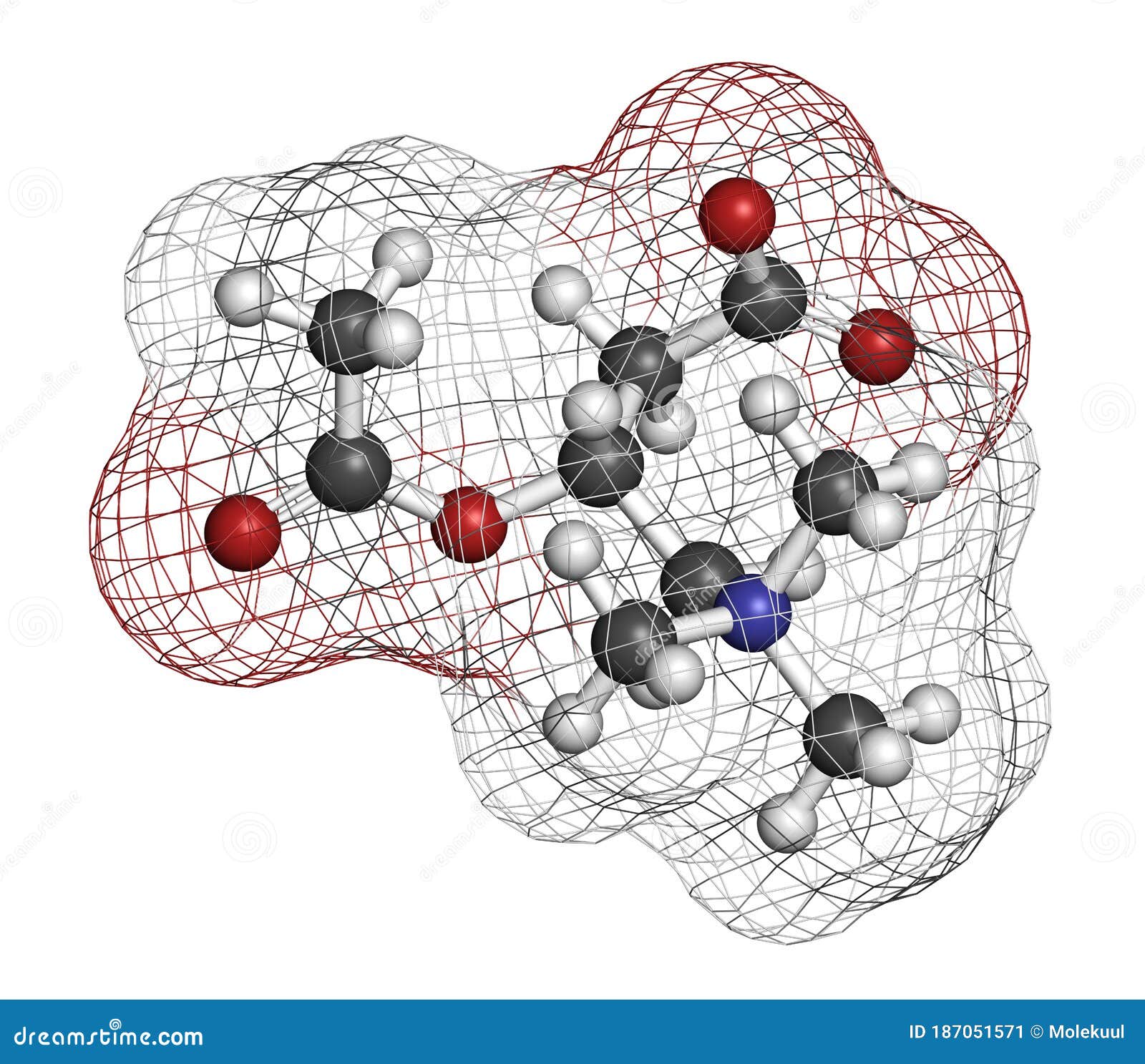 Acetylcarnitine ALCAR Nutritional Supplement Molecule. Atoms are