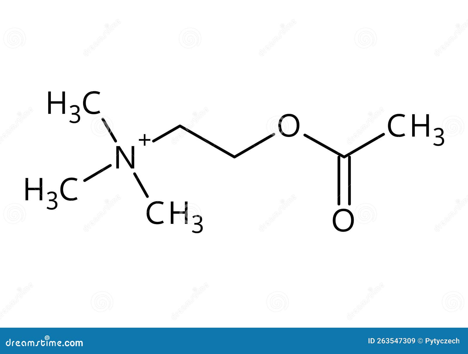 Acetylcholine Structural Formula of Molecular Structure Stock Vector