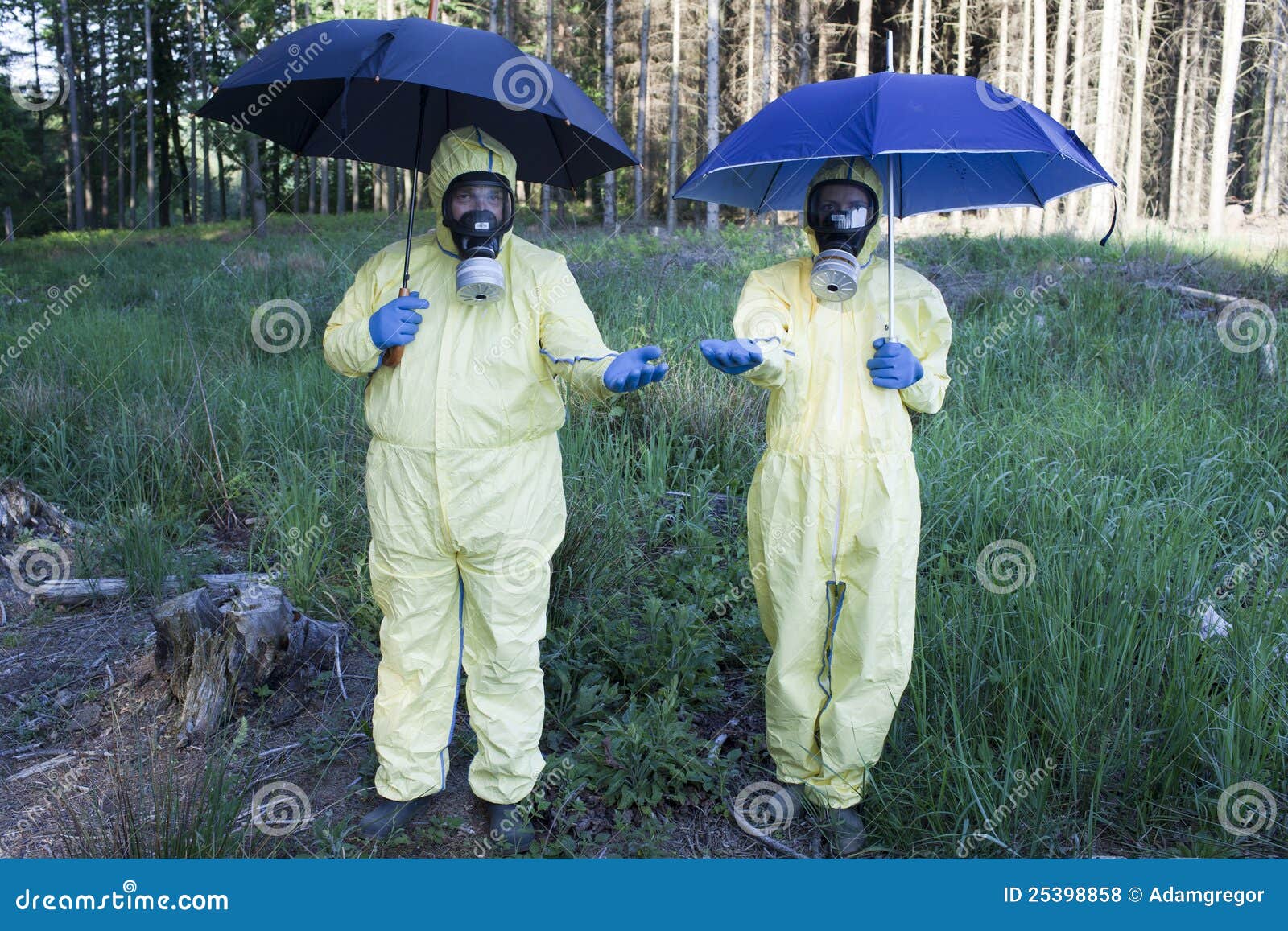 Acid Rain Effect RoyaltyFree Stock Photo 20353863