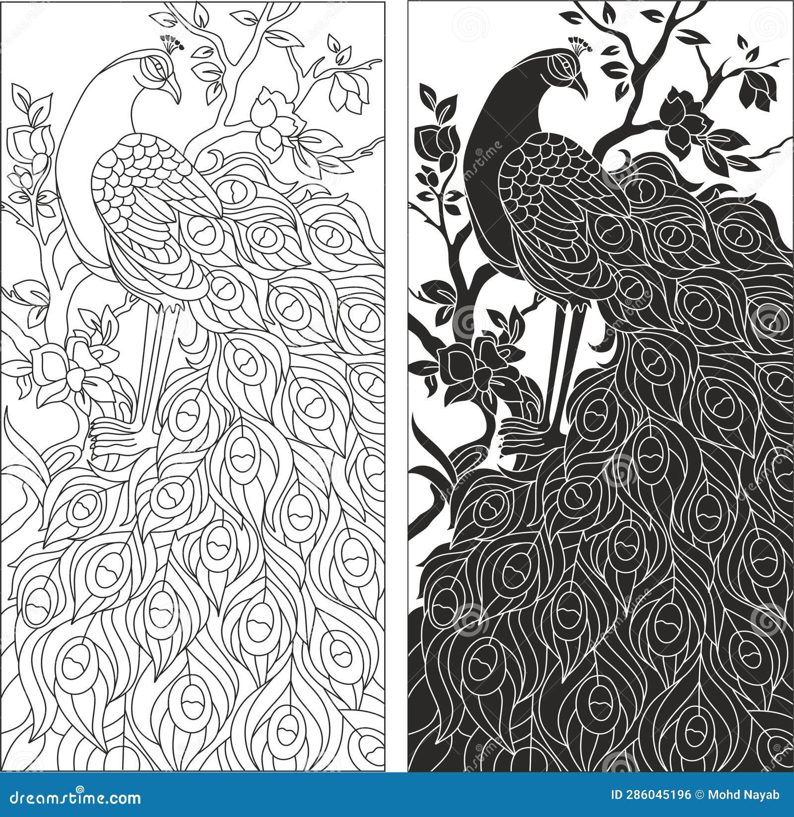 Peacock Feather Design Pattern Vectors Stock Vector Illustration of