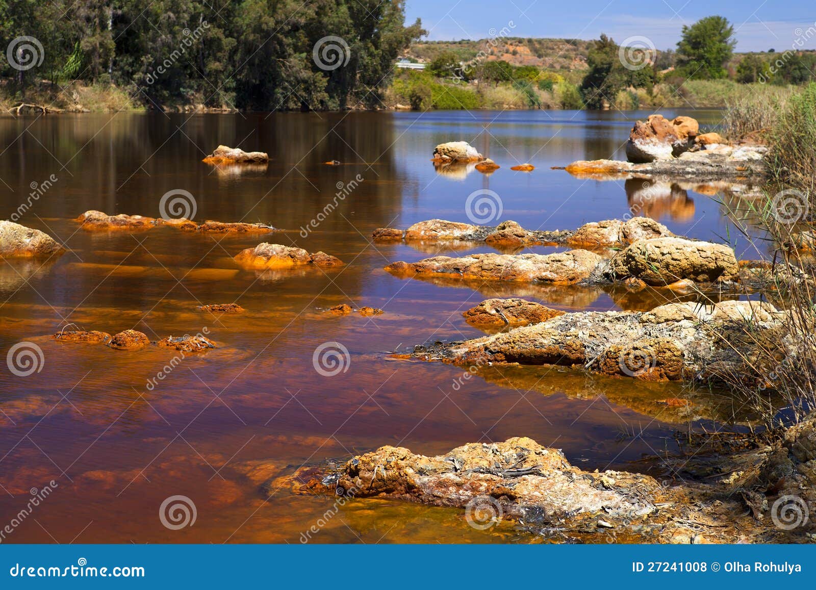 acidic rio ()river tinto in niebla (huelva)