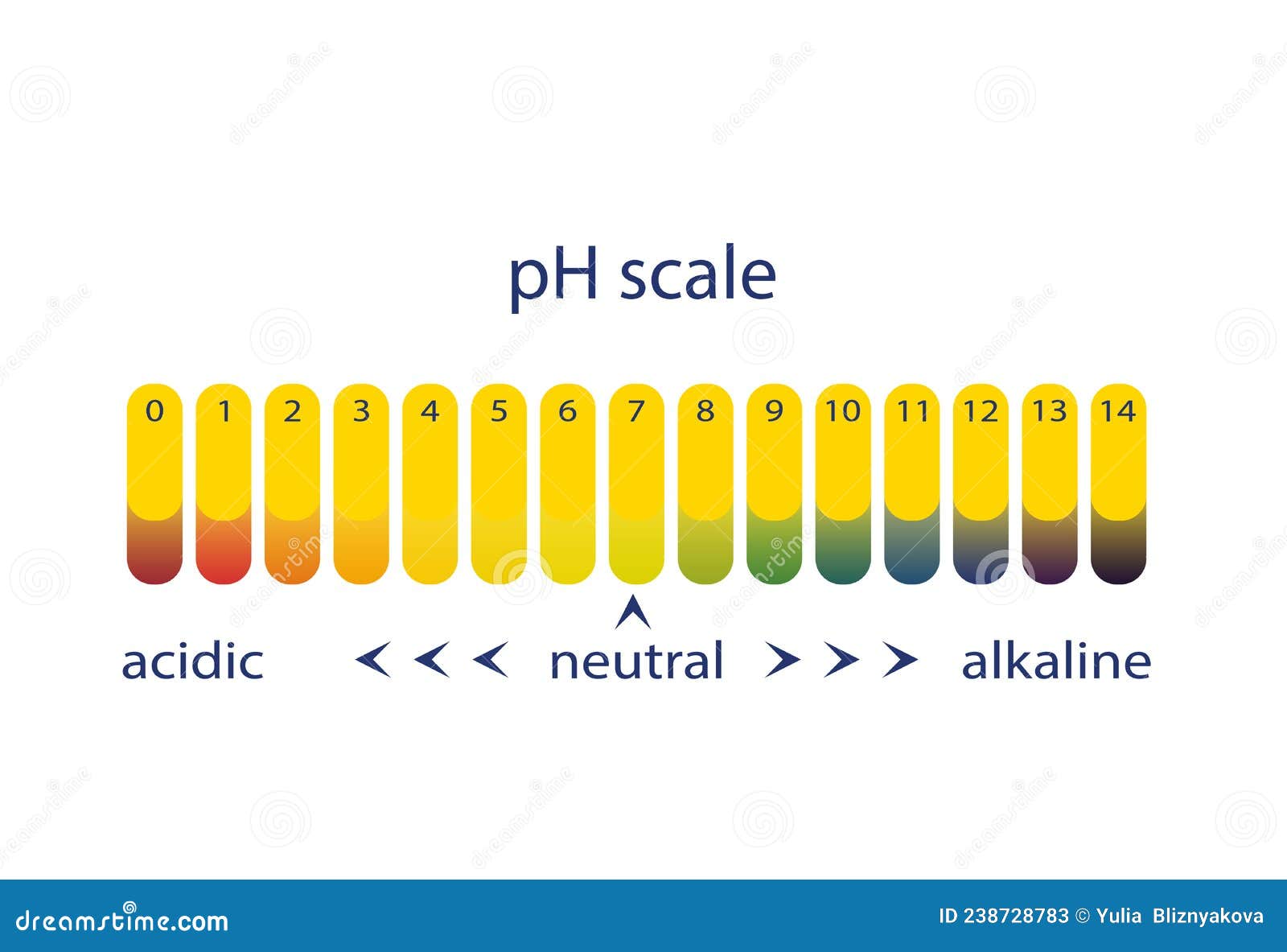 PH Scale. Litmus Paper Color Chart. Vector Illustration CartoonDealer